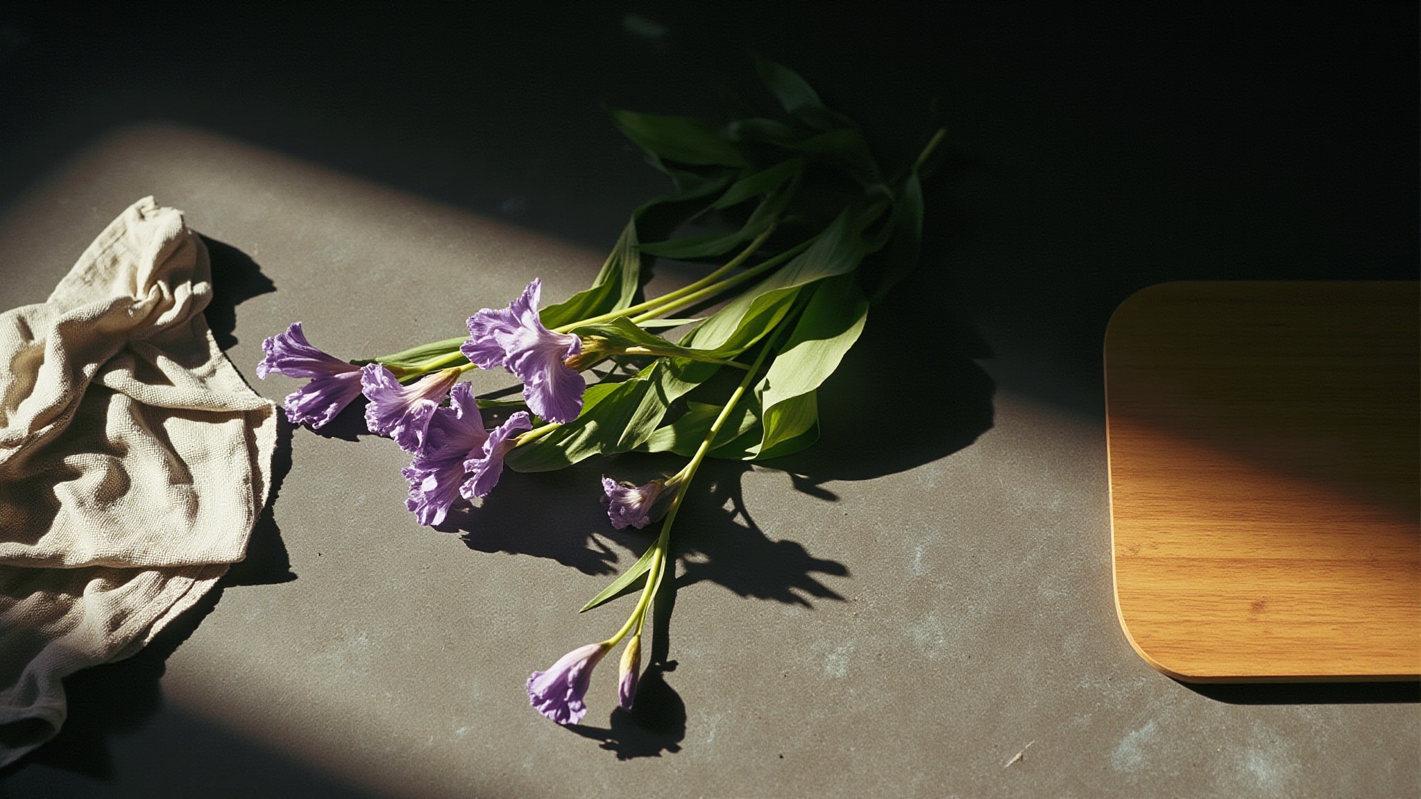 IRIS CONCRETE by Nonfiction. Atmospheric mood