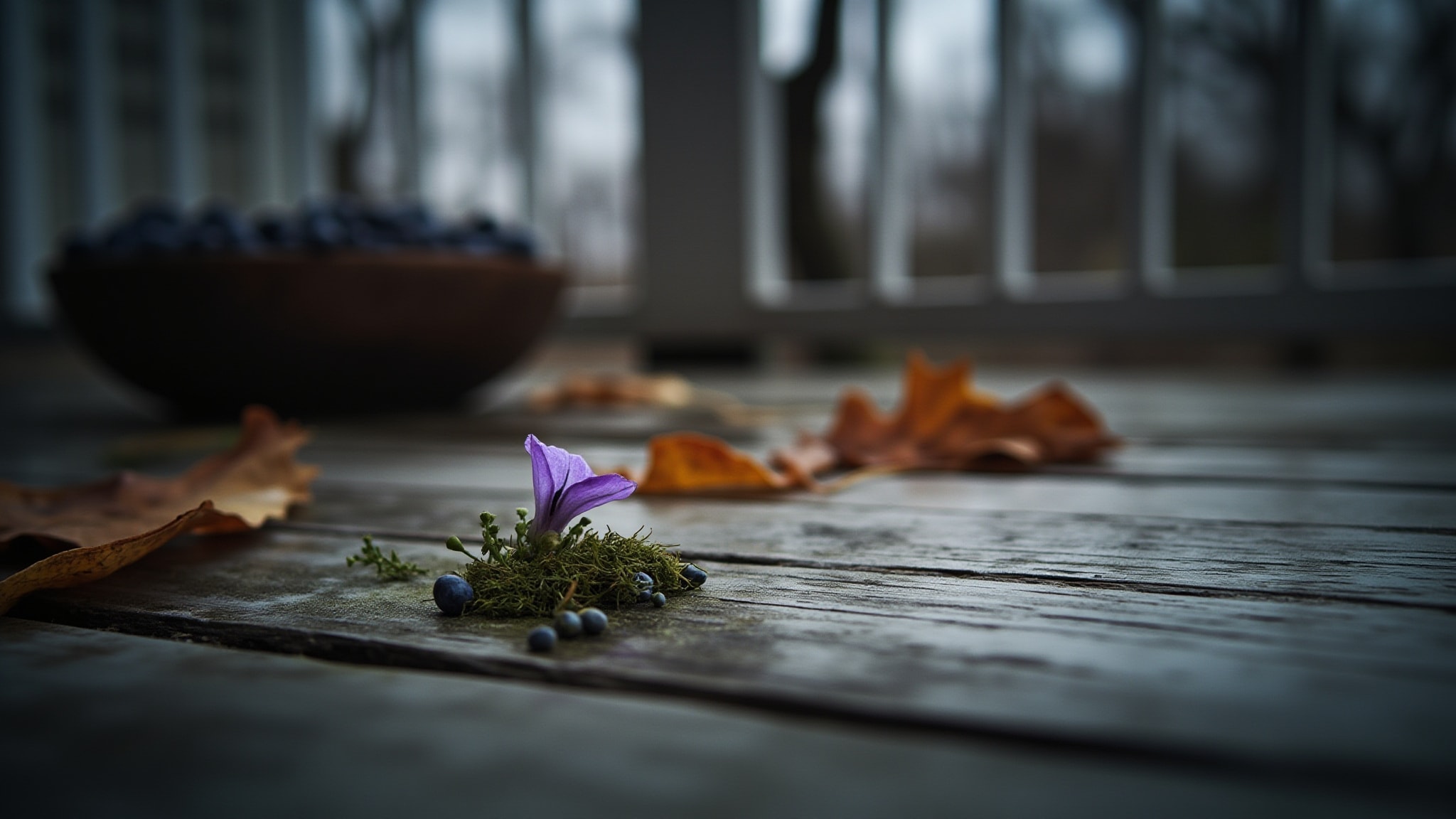 November Violet by Savour. Atmospheric mood