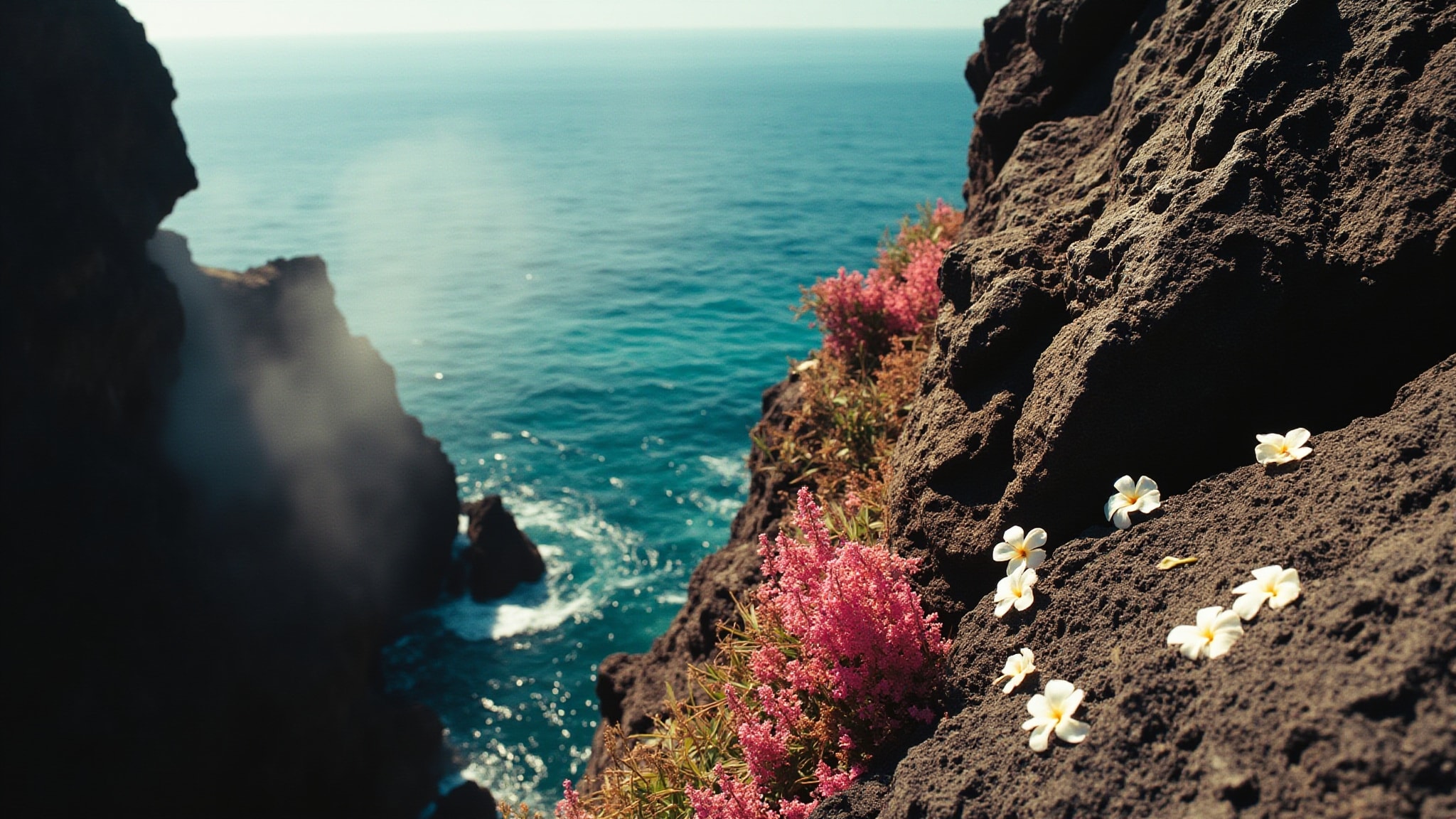 Oleandro di Panarea by Acque di Italia. Atmospheric mood