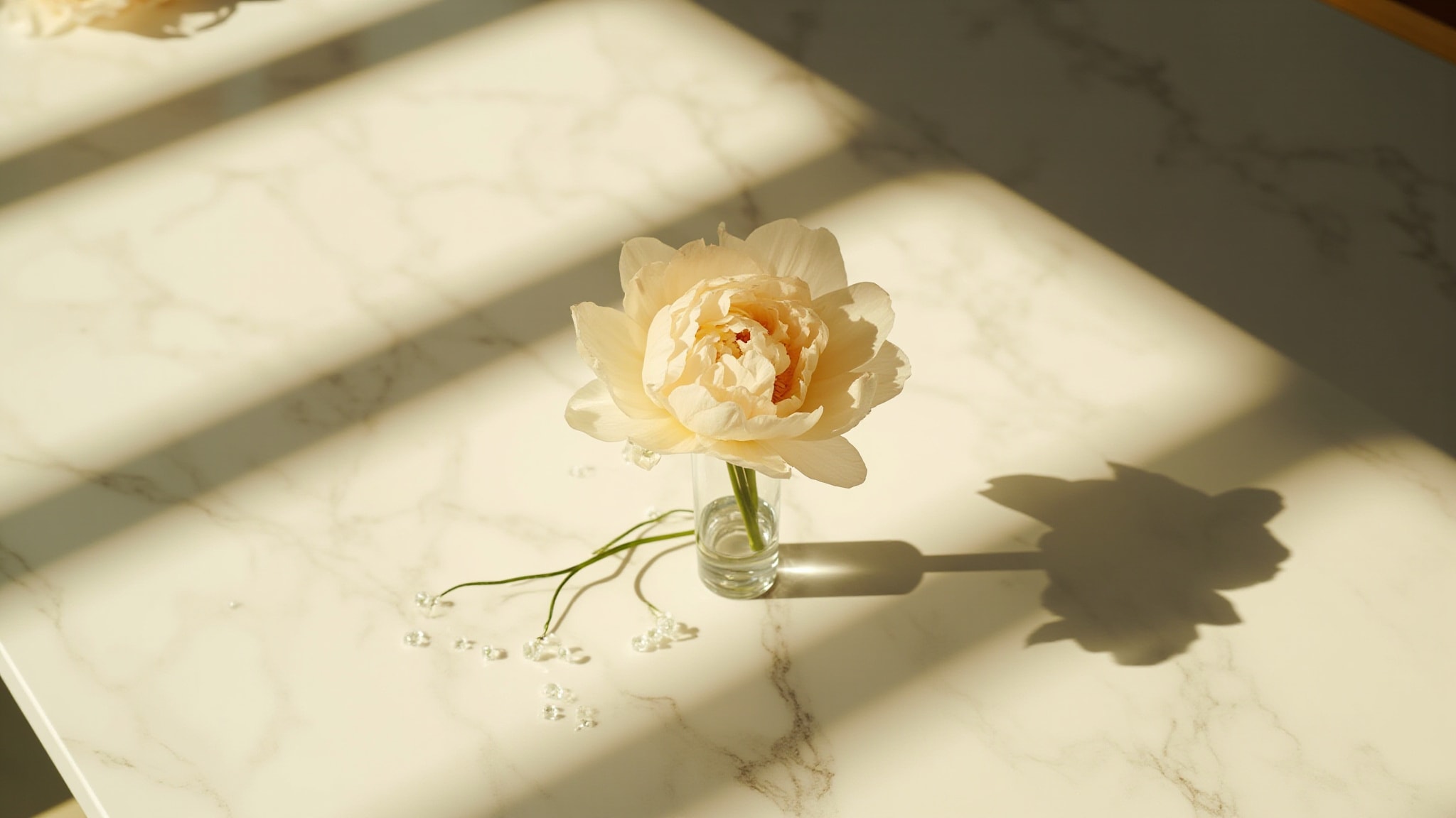 Radiant Peony by Oriflame. Atmospheric mood