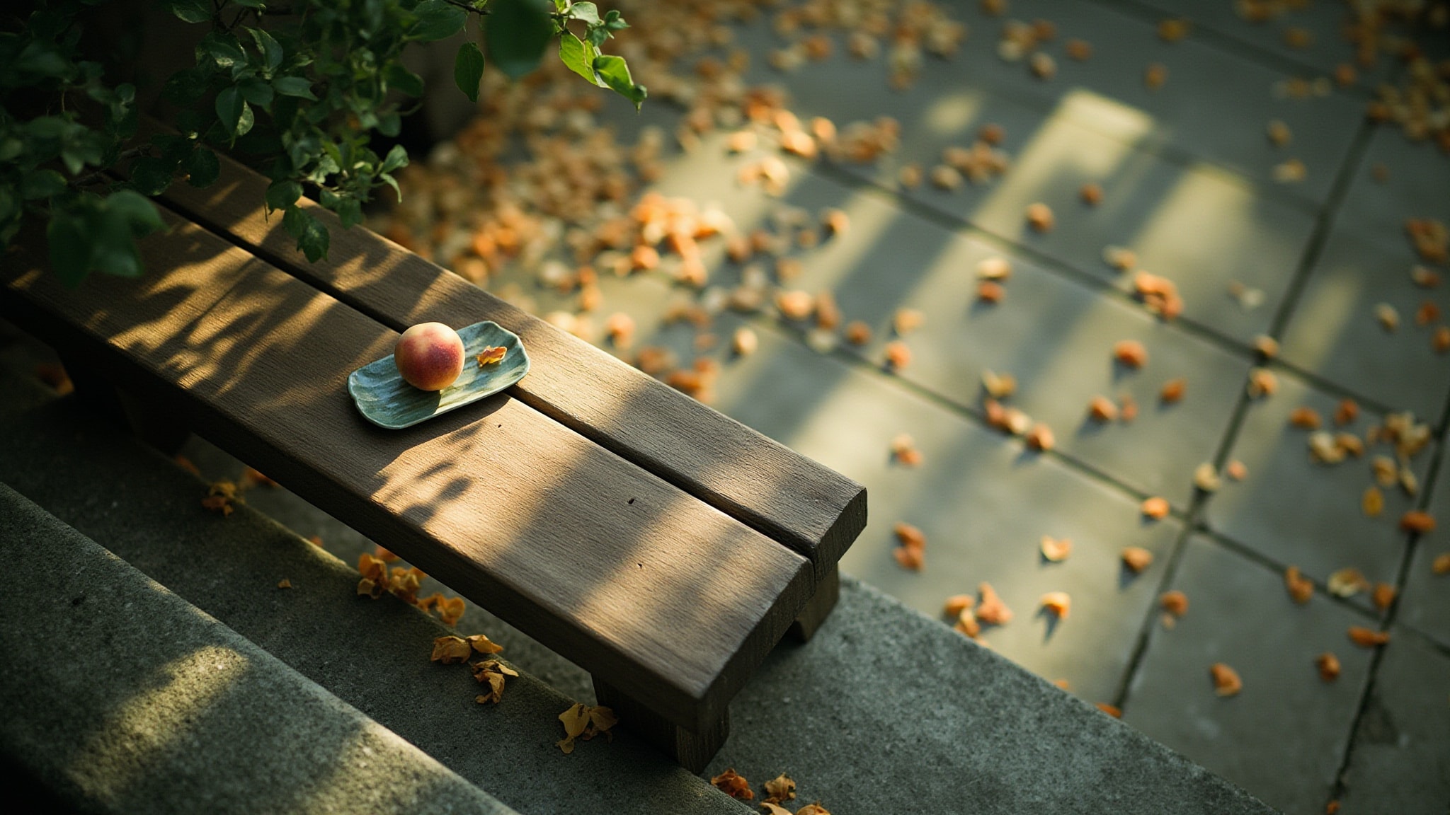 Osmanthus 颐和金桂 by To Summer | 观夏. Atmospheric mood