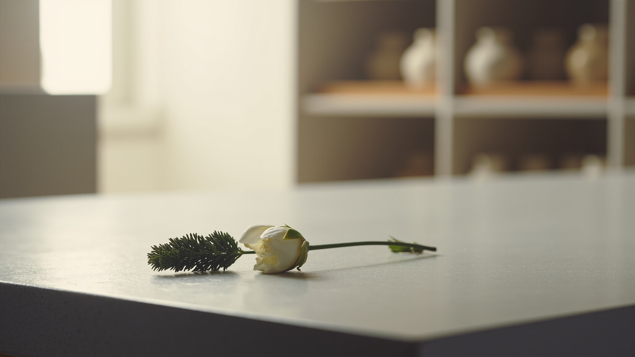 Lierre Rose by Parfums 06130. Atmospheric mood