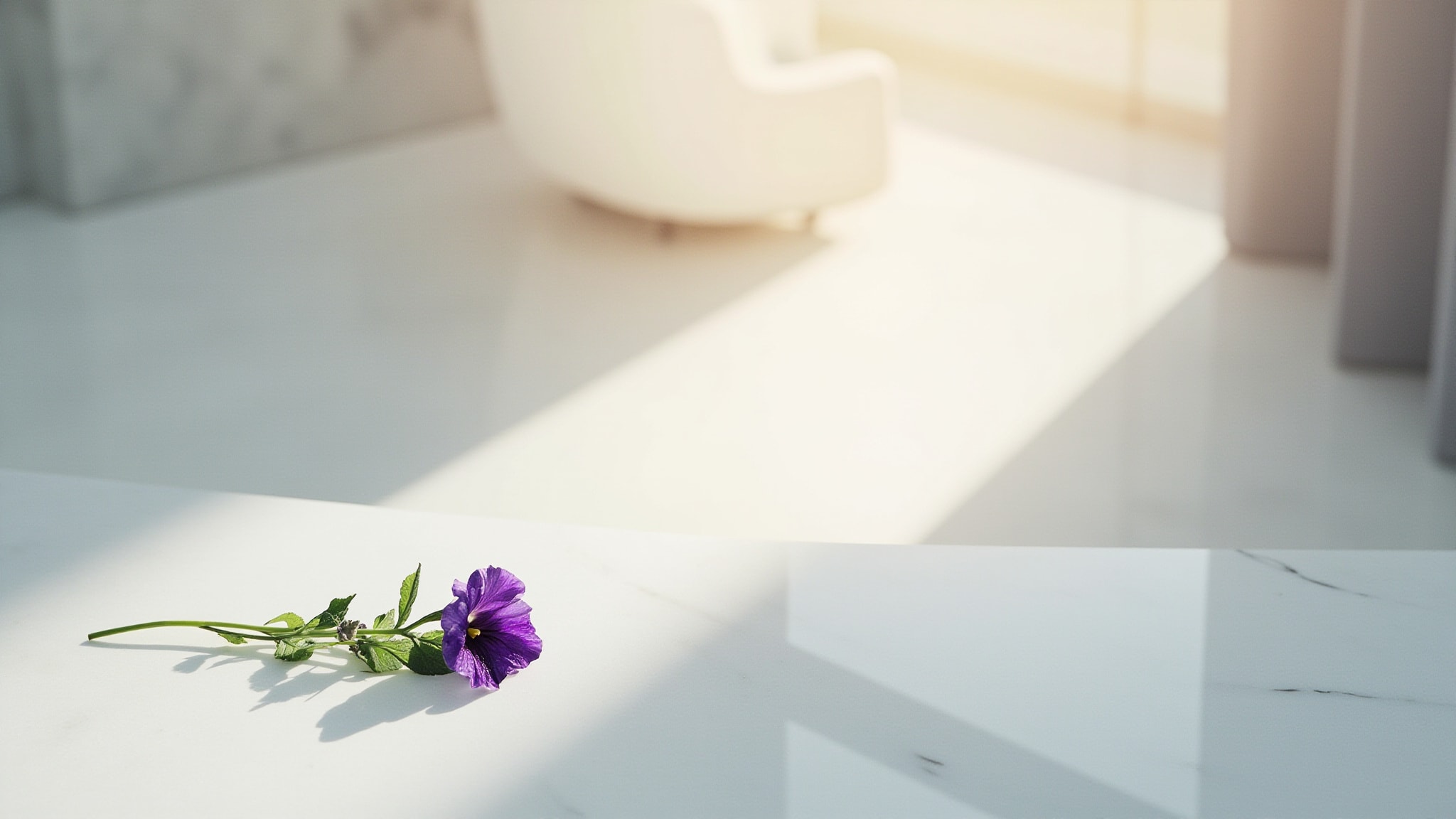 Violette by Parfums Berdoues. Atmospheric mood