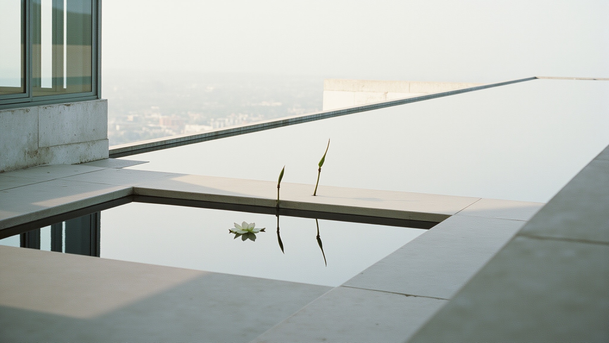 Les Jardins de Bouddha by Parfums et Senteurs du Pays Basque. Atmospheric mood