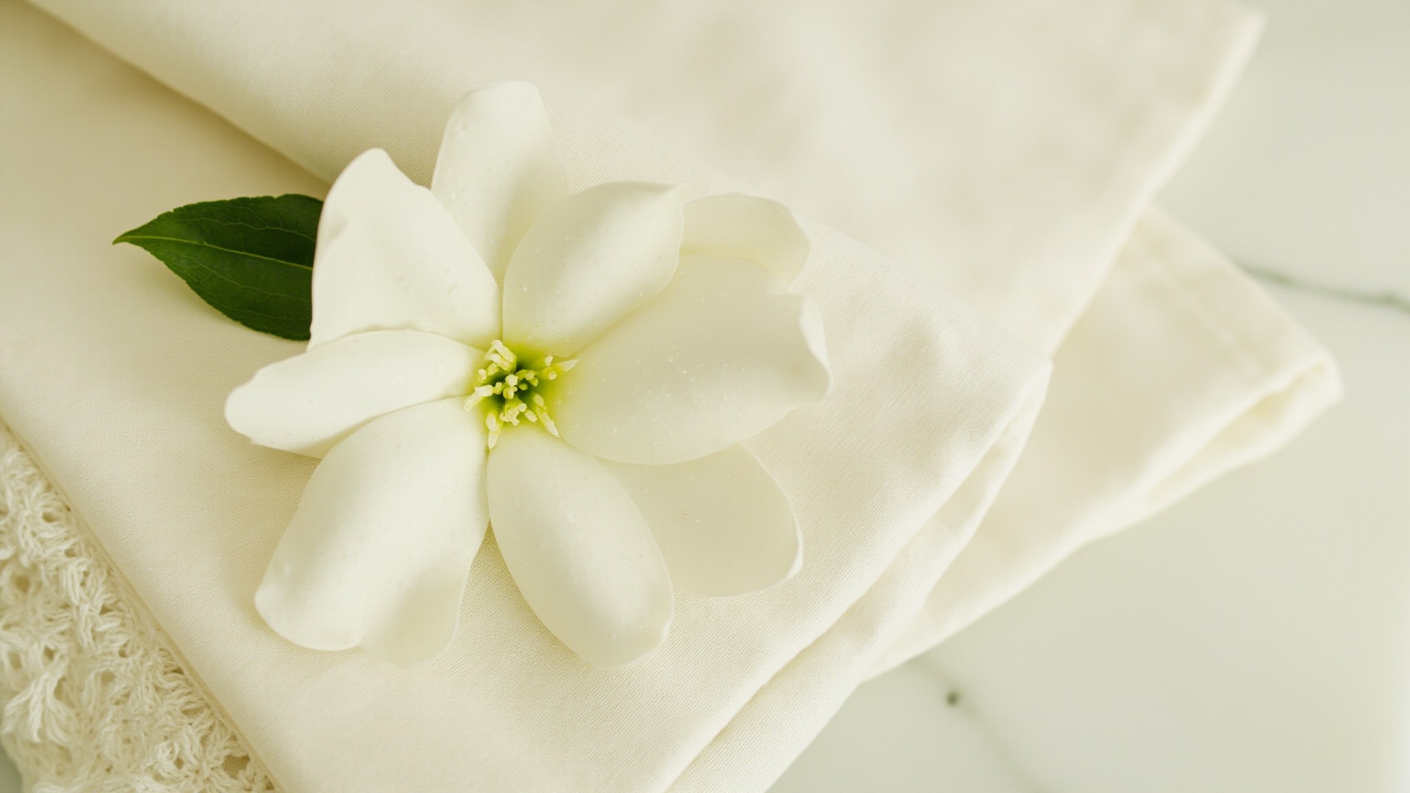 Field of Flowers Gardenia Blossom by Philosophy. Atmospheric mood