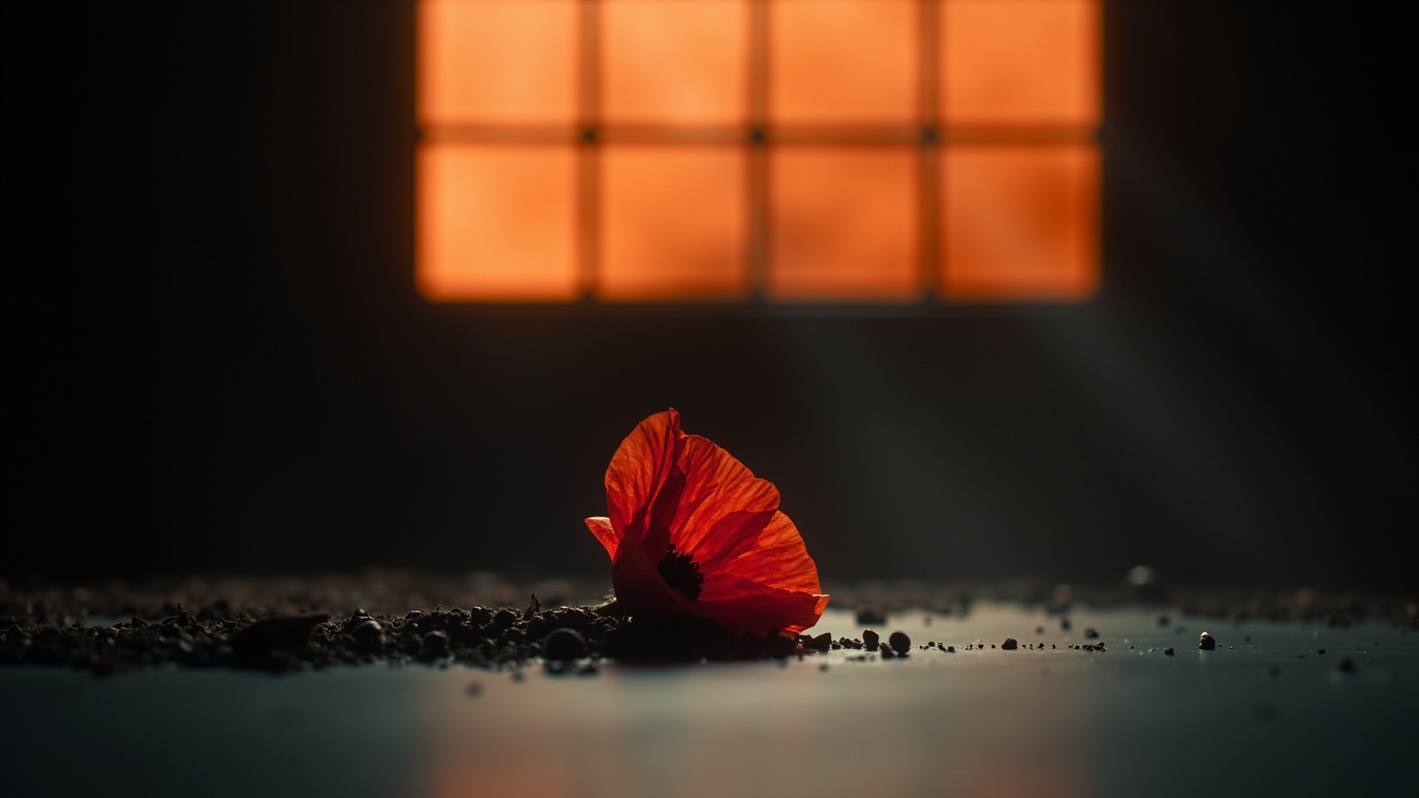 Lux Obscura by Pictura Fragrans. Atmospheric mood