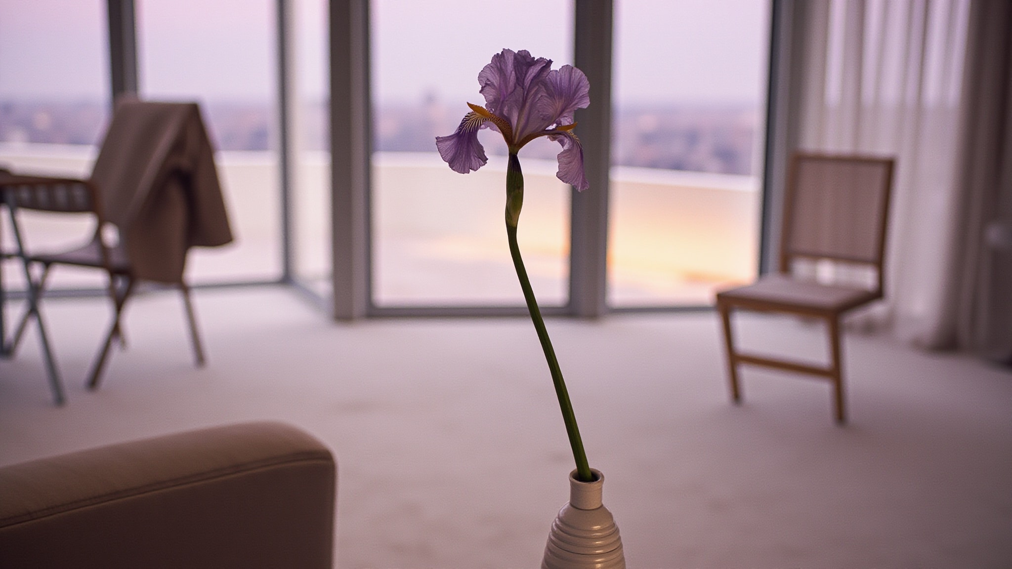 No1 Iris by Prada. Atmospheric mood