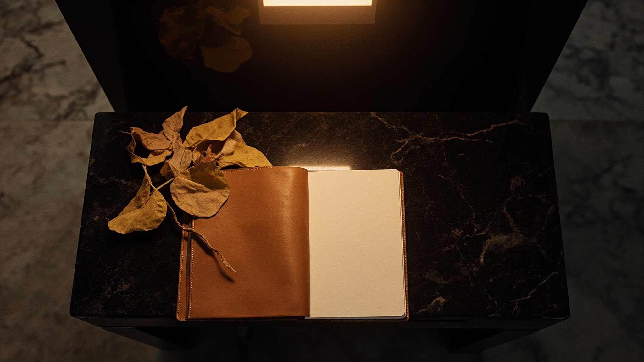 Provenance by Qhue. Atmospheric mood