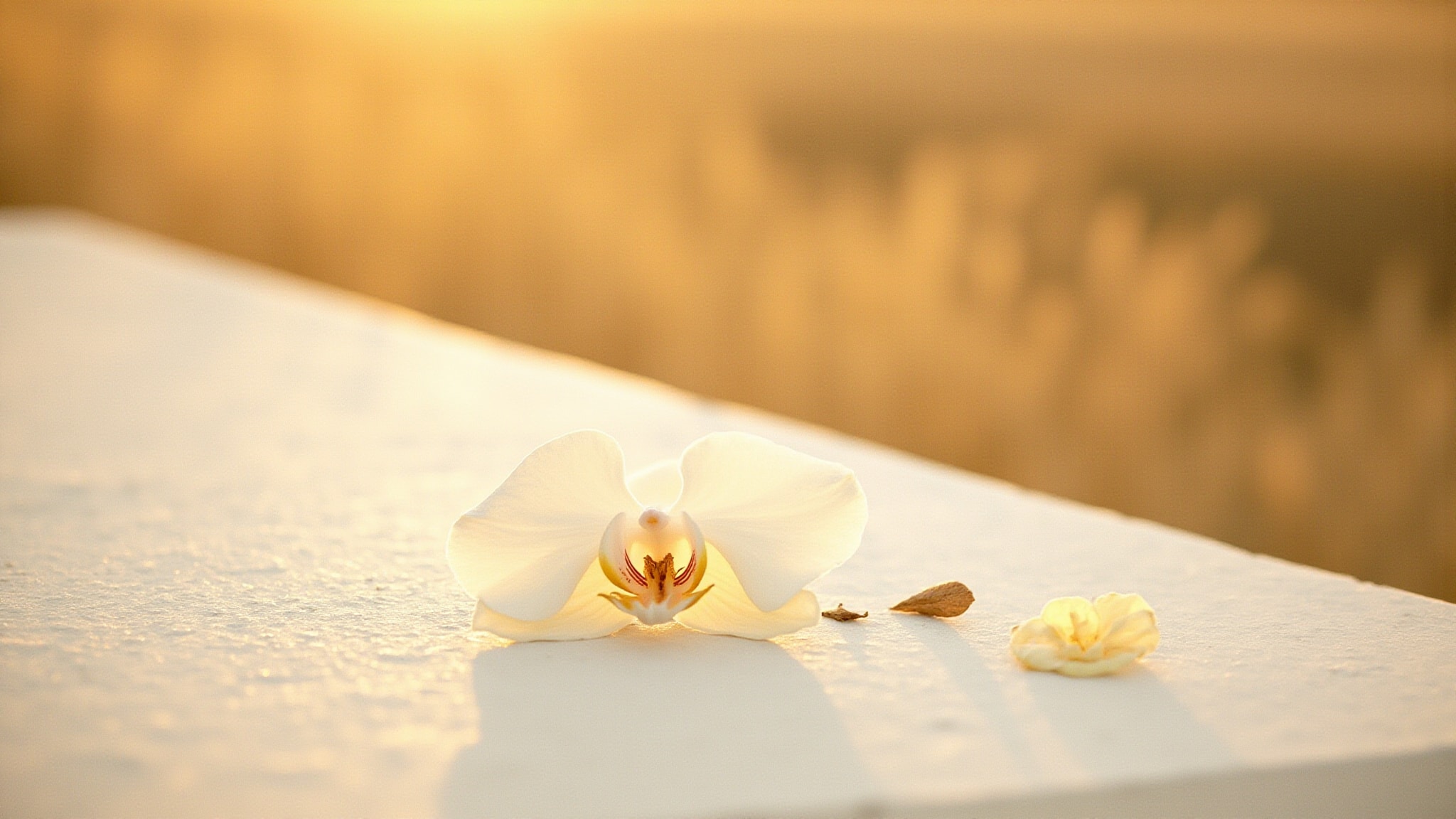 Layuqawam Orchid Prairie by Rasasi. Atmospheric mood