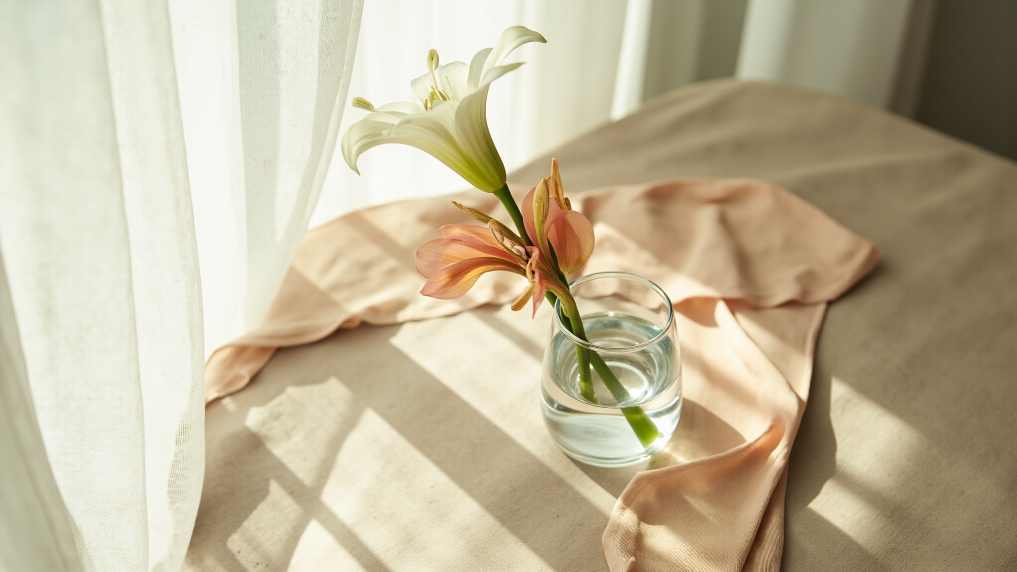 Ritual of Holi Spring Love by Rituals. Atmospheric mood