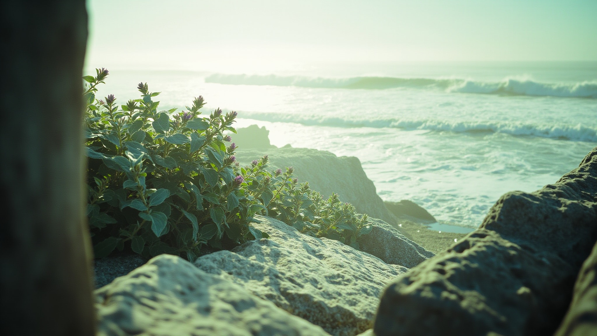 Salty Breeze by Autobiography. Atmospheric mood