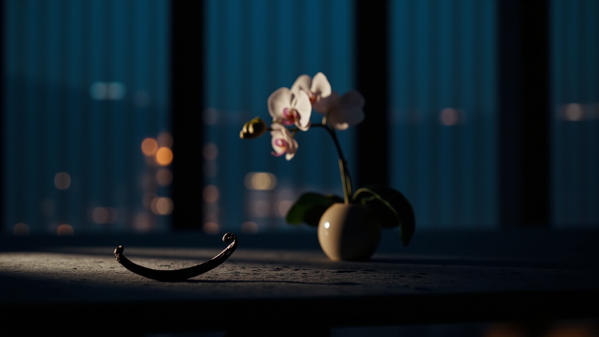 Signorina Misteriosa Fashion Edition 2020 by Salvatore Ferragamo. Atmospheric mood