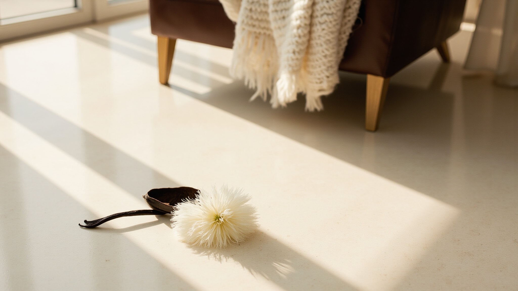 White Mimosa by Salvatore Ferragamo. Atmospheric mood