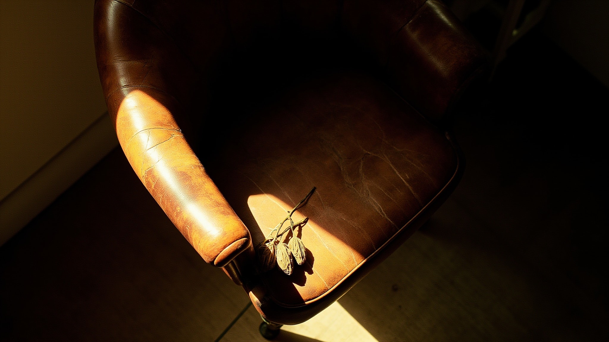 Santal Austral Extrait by Matiere Premiere. Atmospheric mood