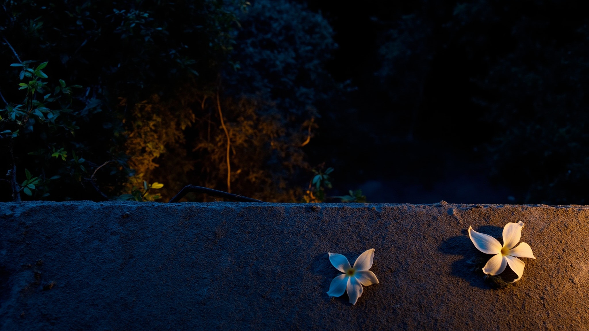 Black Magic by Sebastiane. Atmospheric mood