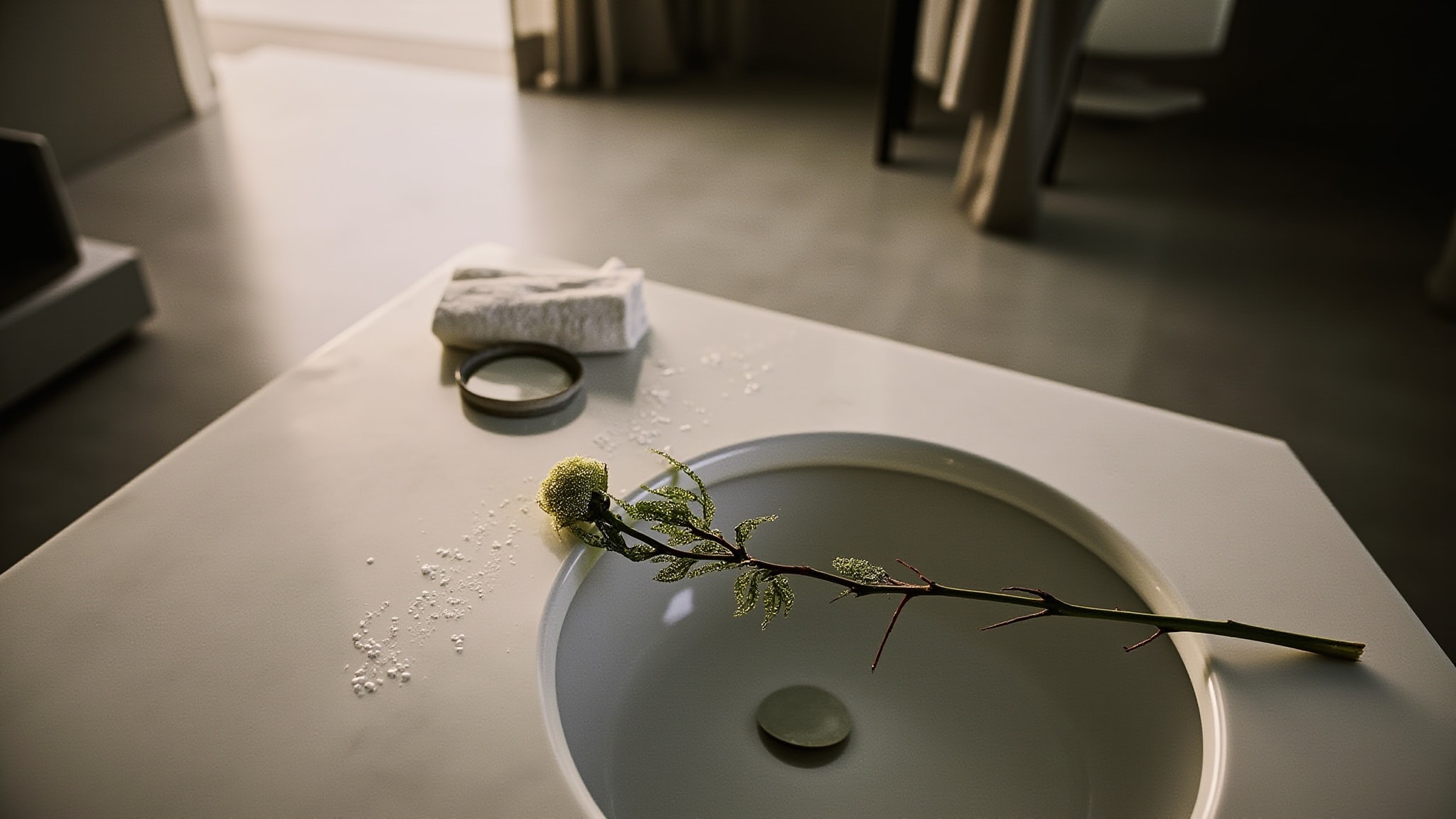 Misk Rose by Sense Dubai. Atmospheric mood