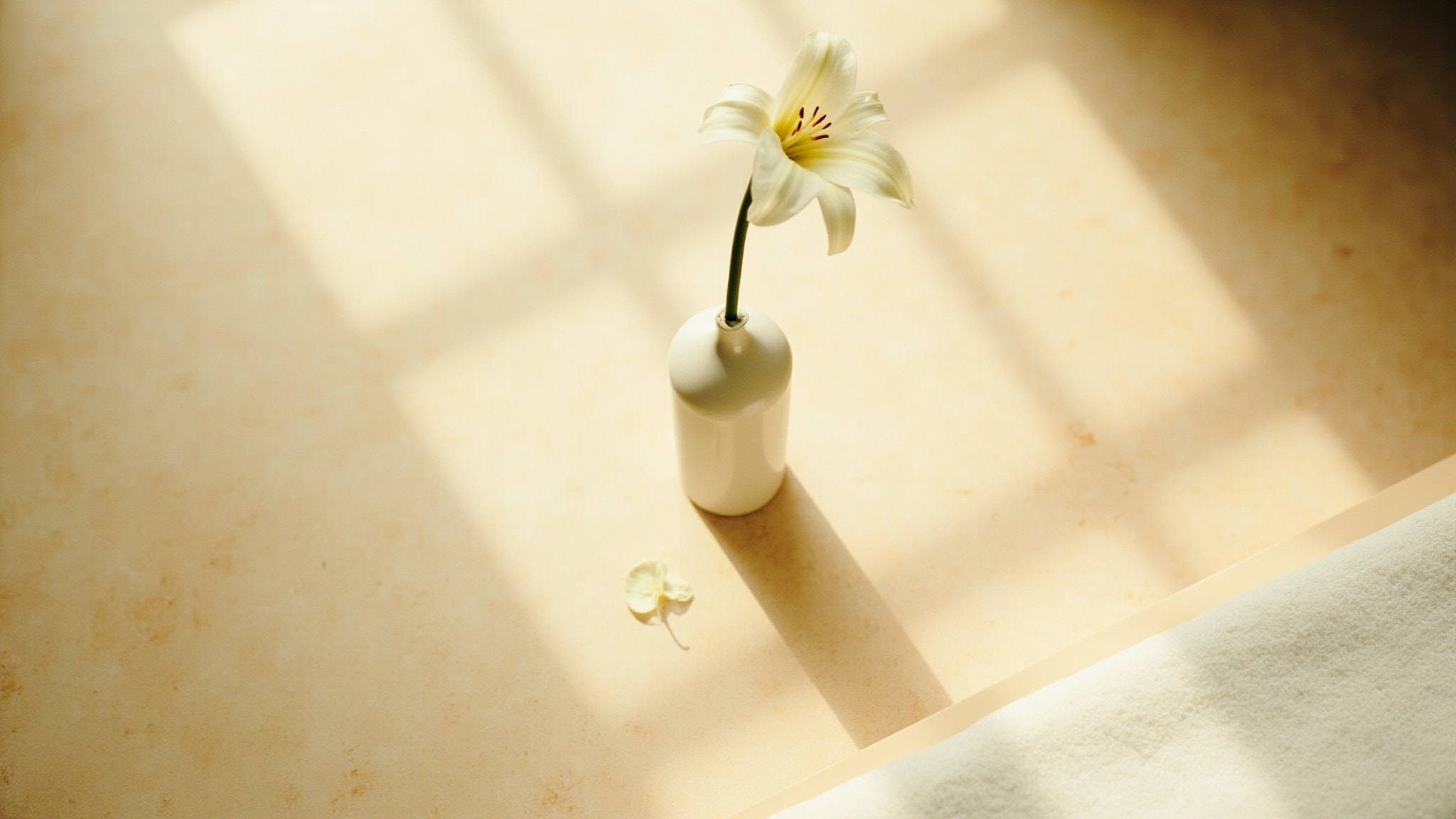 White Lily by Shiro. Atmospheric mood