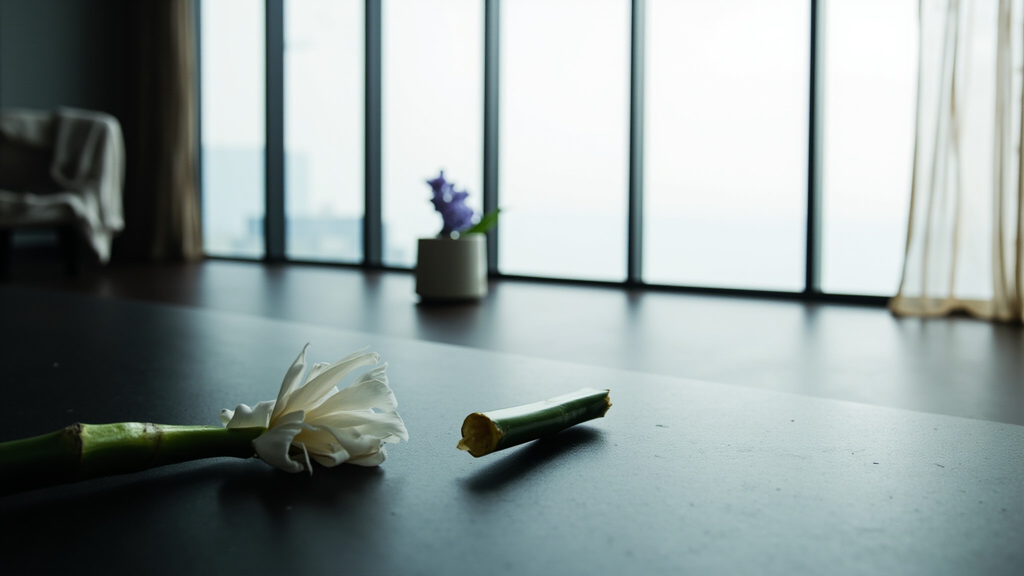 Hana Tsubaki by Shiseido. Atmospheric mood