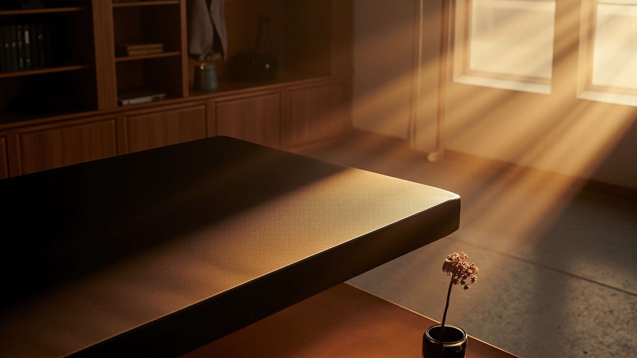 Silphium by Stora Skuggan. Atmospheric mood
