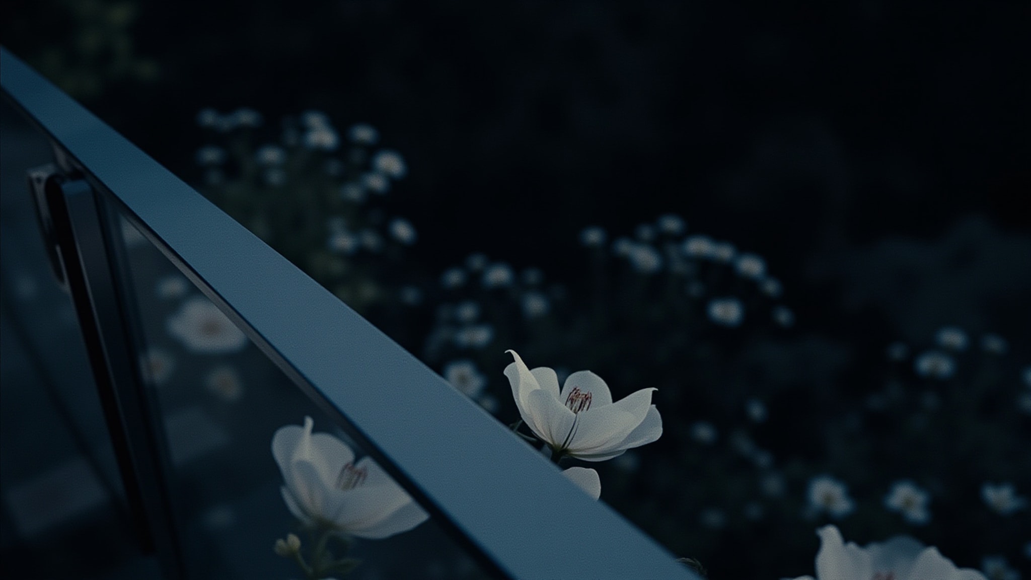 Moon Garden by Strange Invisible Perfumes. Atmospheric mood