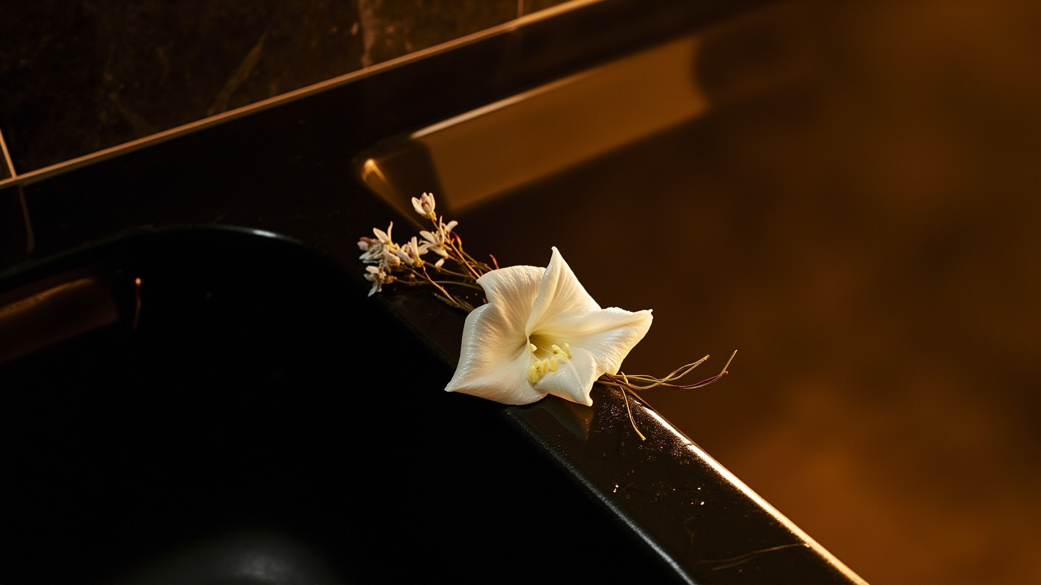 Jardin de Borneo White Ginger Lily by Sultan Pasha Attars. Atmospheric mood