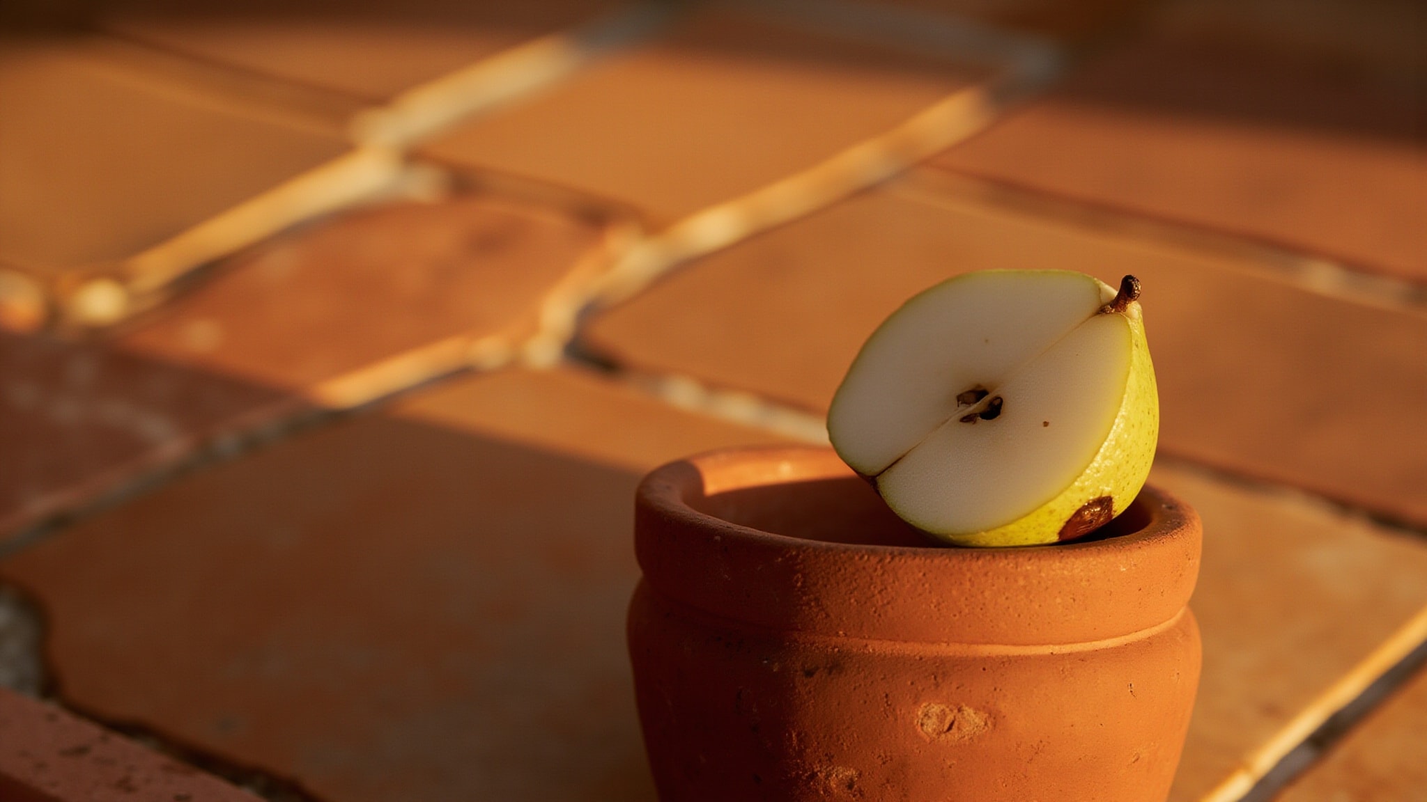 Sun Fruit by Ellis Brooklyn. Atmospheric mood
