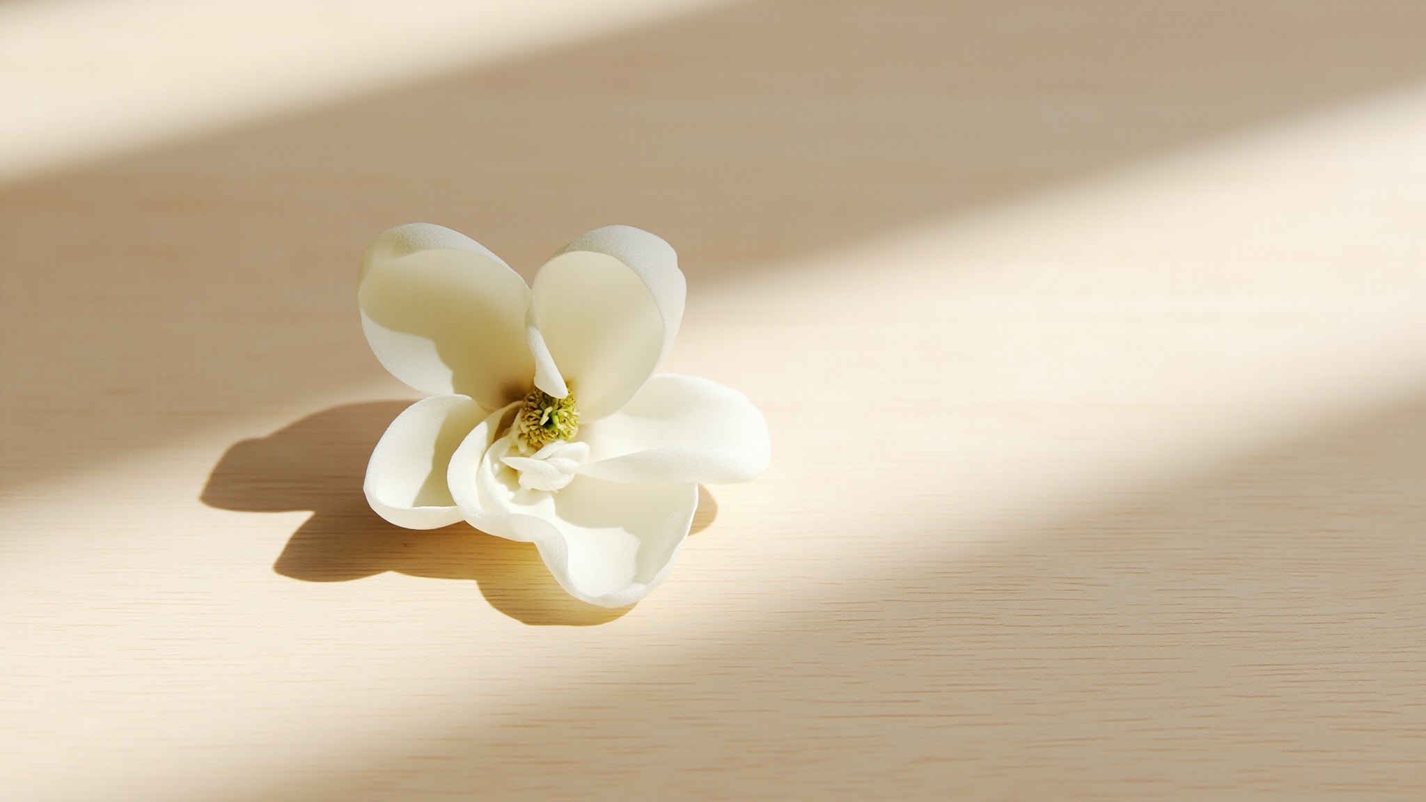 Full Magnolia by The Body Shop. Atmospheric mood