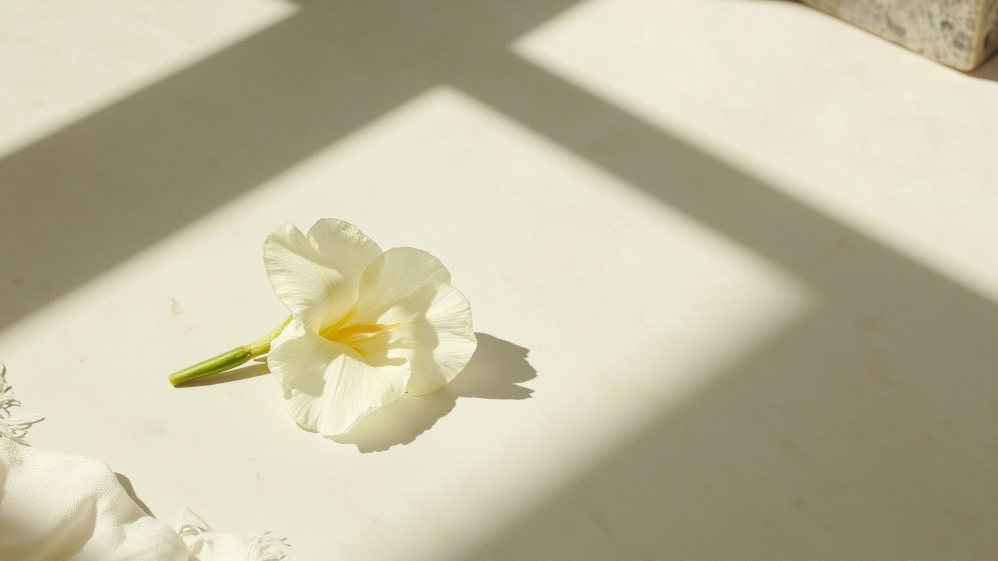White Musk White Hot Summer by The Body Shop. Atmospheric mood