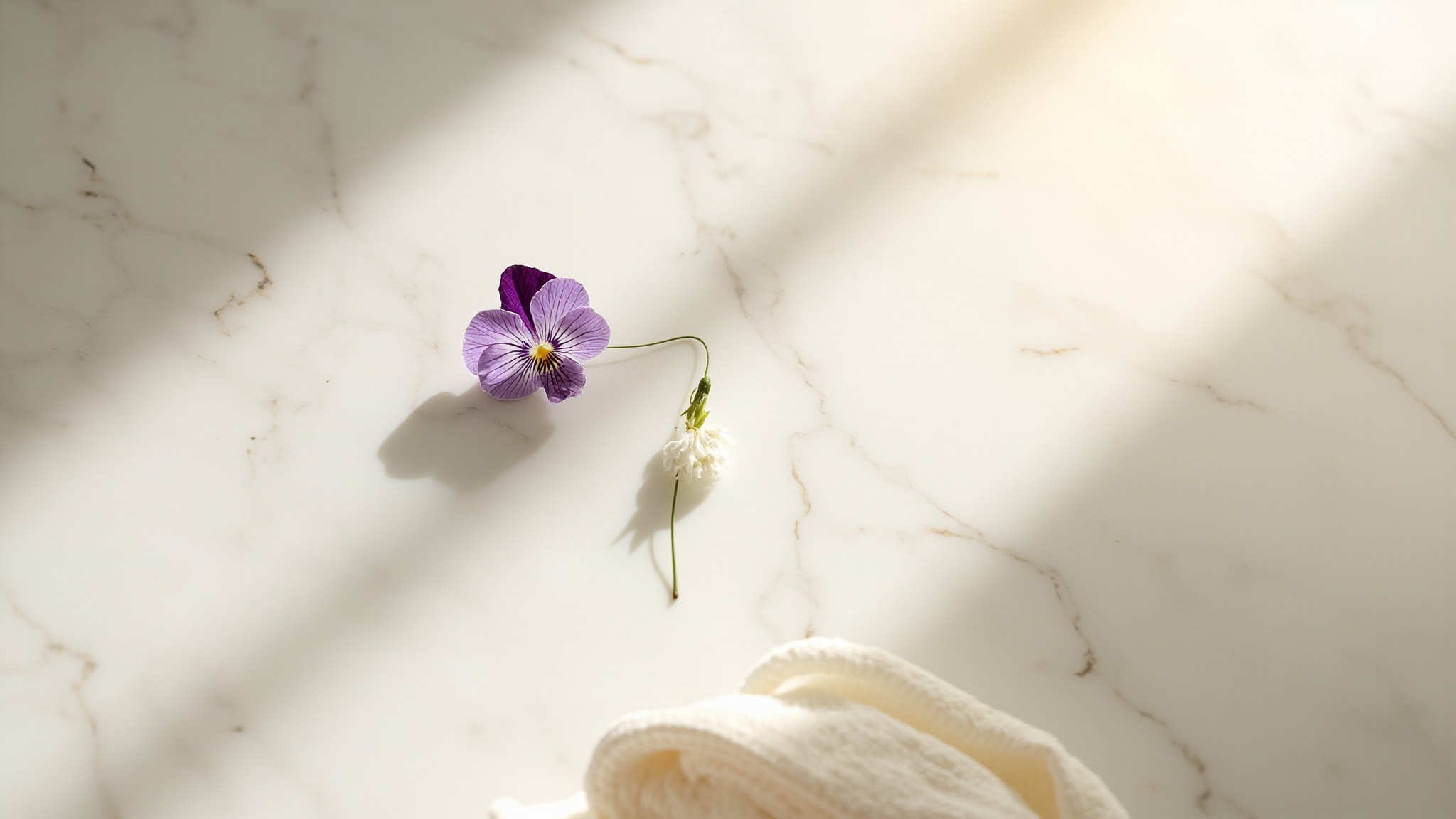 Wild Jasmine Eau de Toilette by The Body Shop. Atmospheric mood