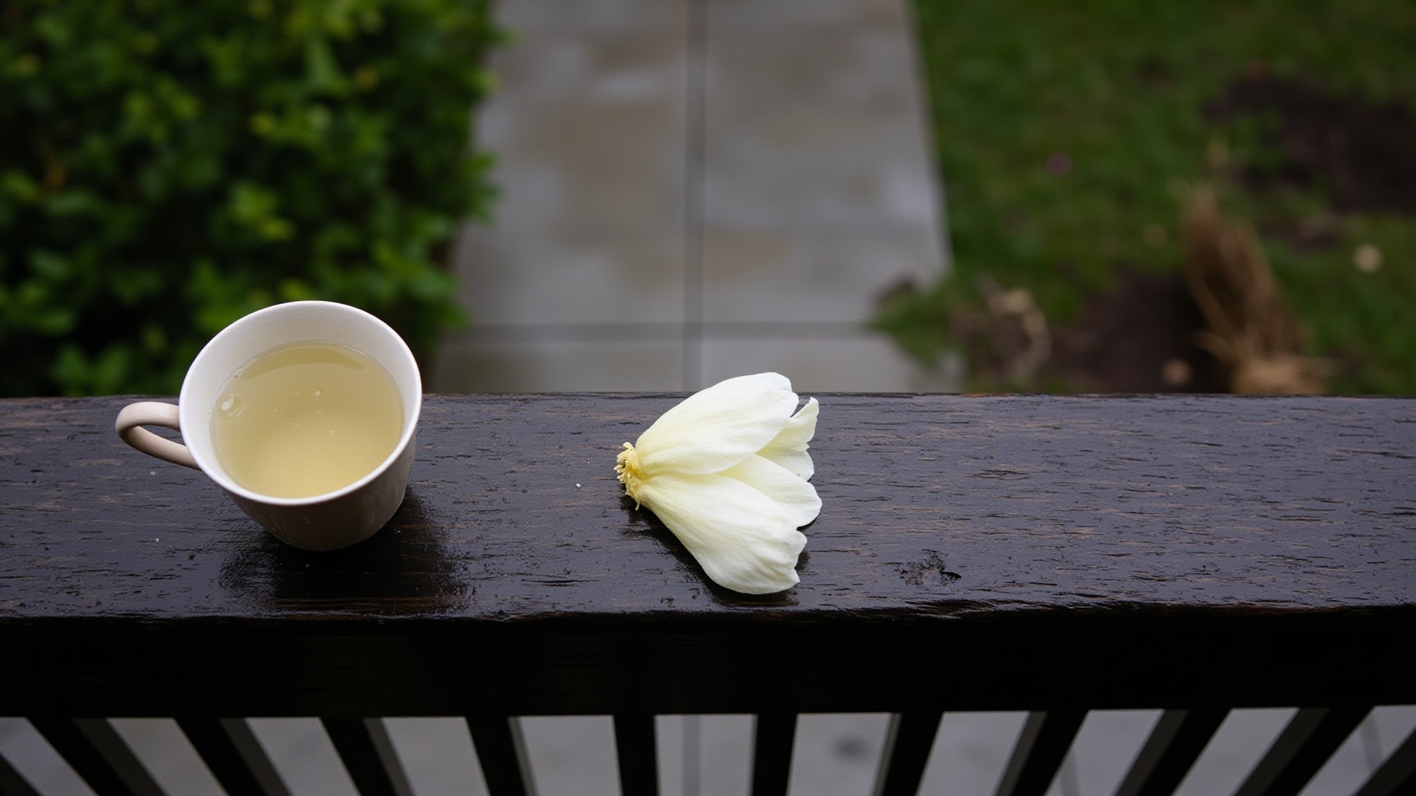 Tea in the Rain by The Dua Brand. Atmospheric mood