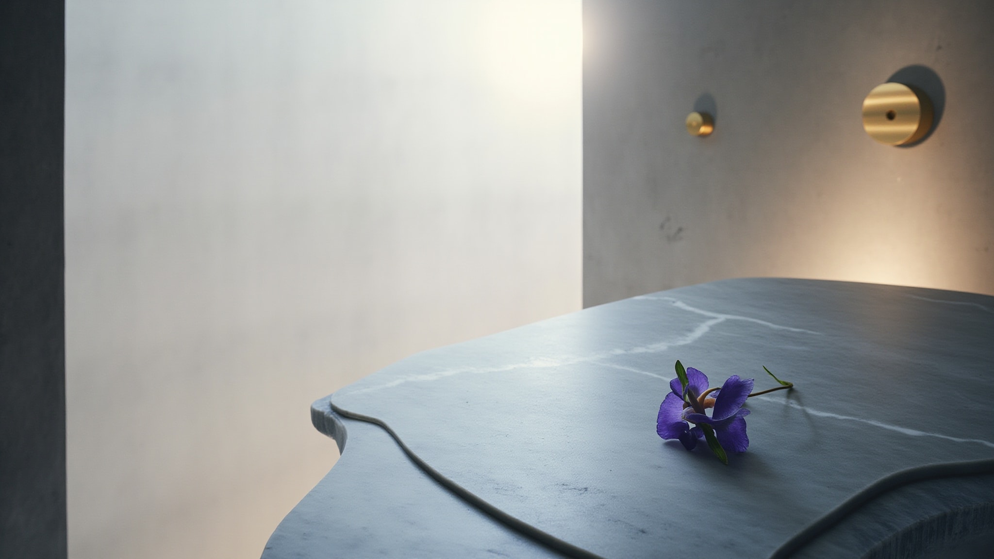 Tenth Avenue Of Iris by The Dua Brand. Atmospheric mood