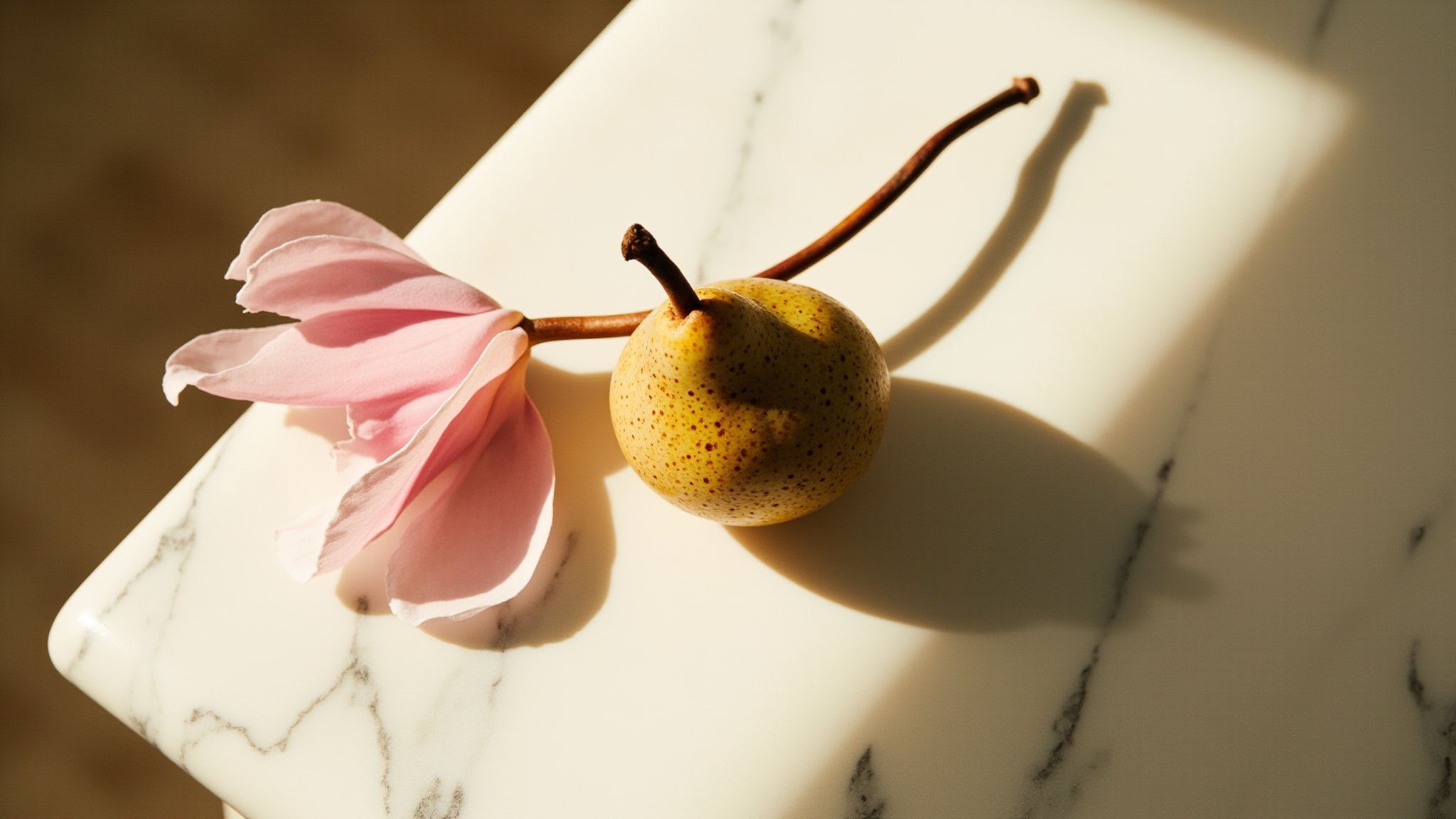 Velvet Magnolia by The Dua Brand. Atmospheric mood