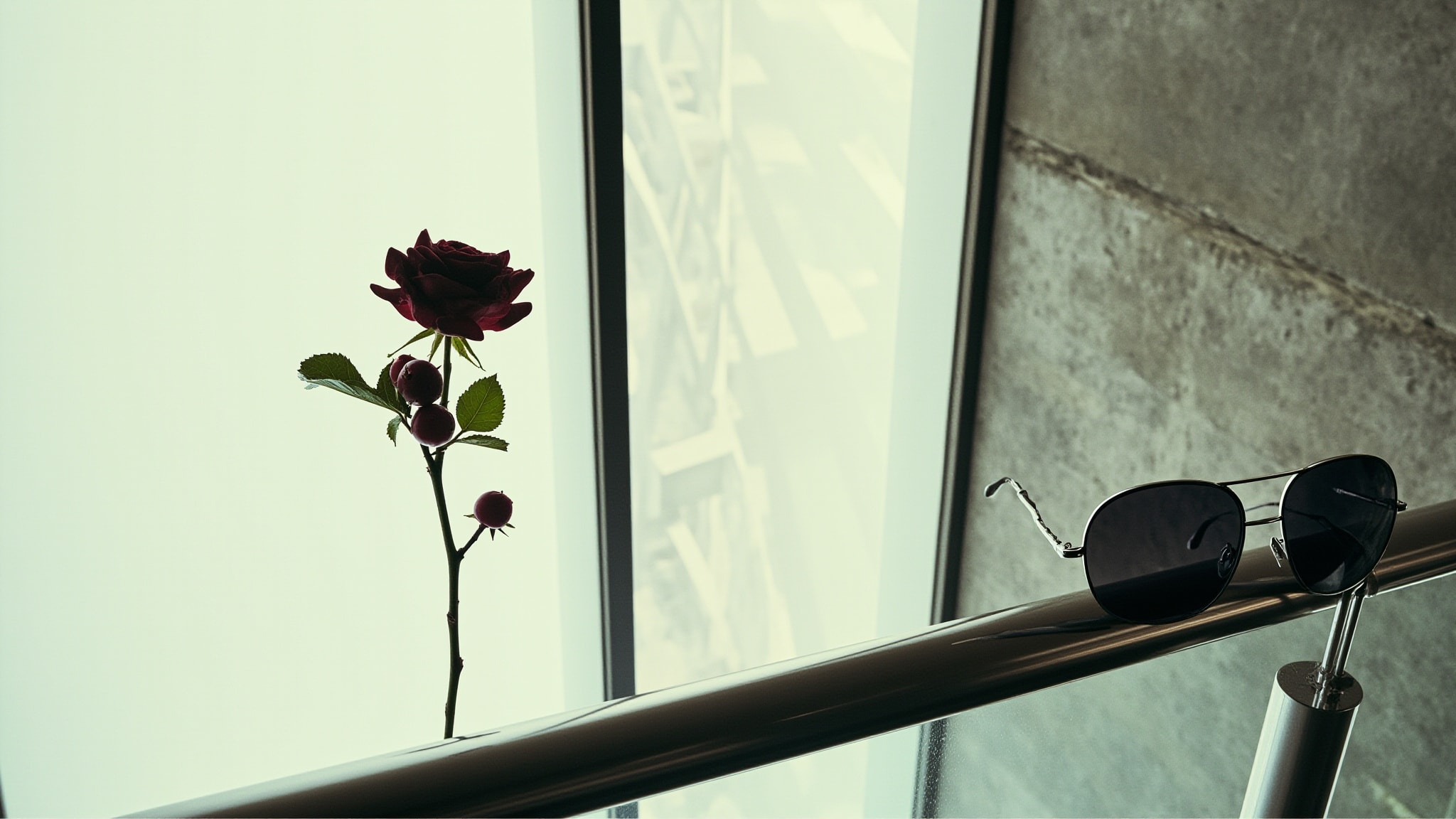 Fly Me to the Rose by The Fragrance Kitchen. Atmospheric mood