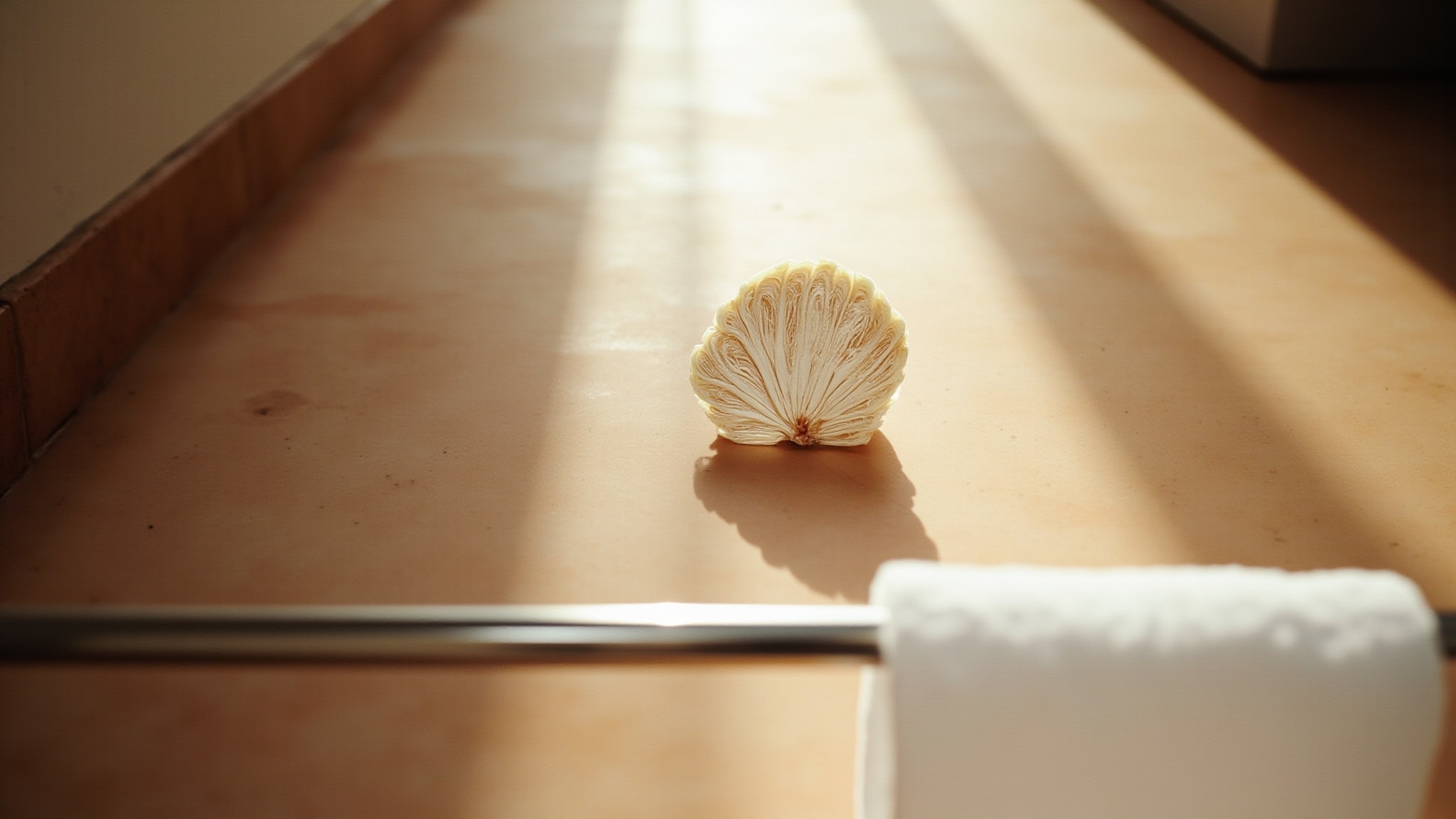 Cyprus Shell by The Merchant of Venice. Atmospheric mood