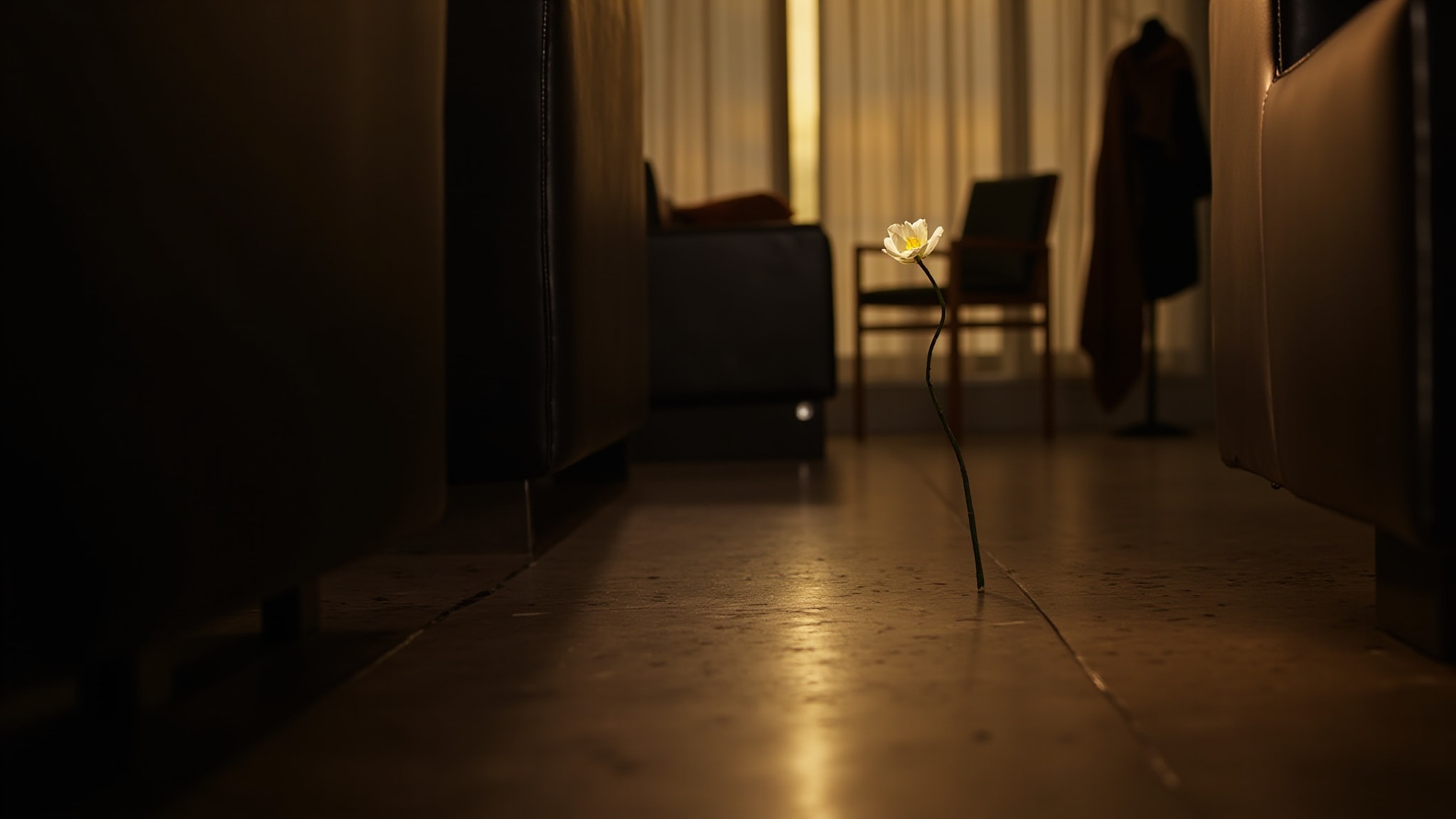 Opel by Thera Cosméticos. Atmospheric mood