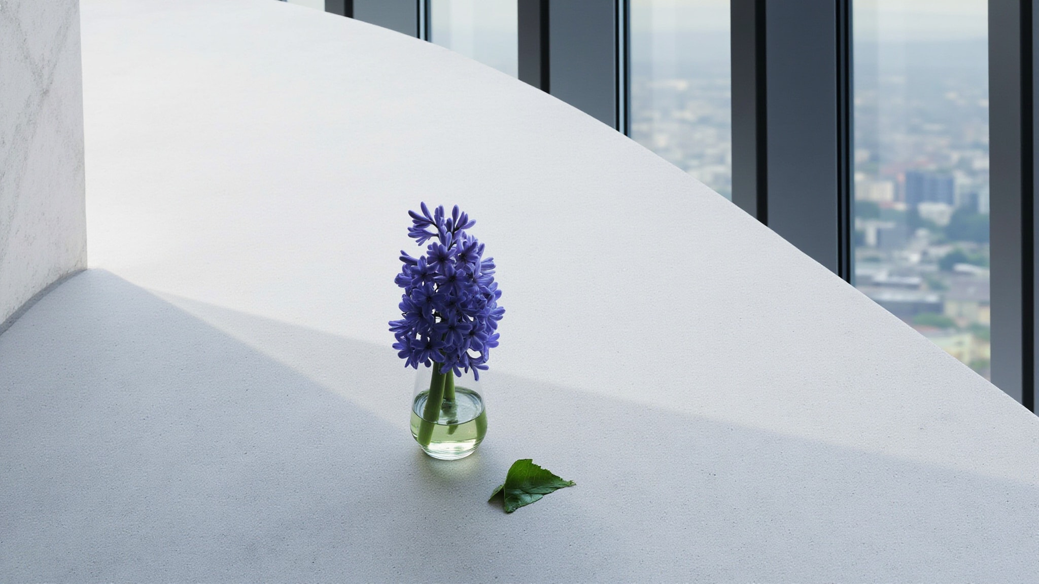 Ombre de Hyacinth by Tom Ford. Atmospheric mood
