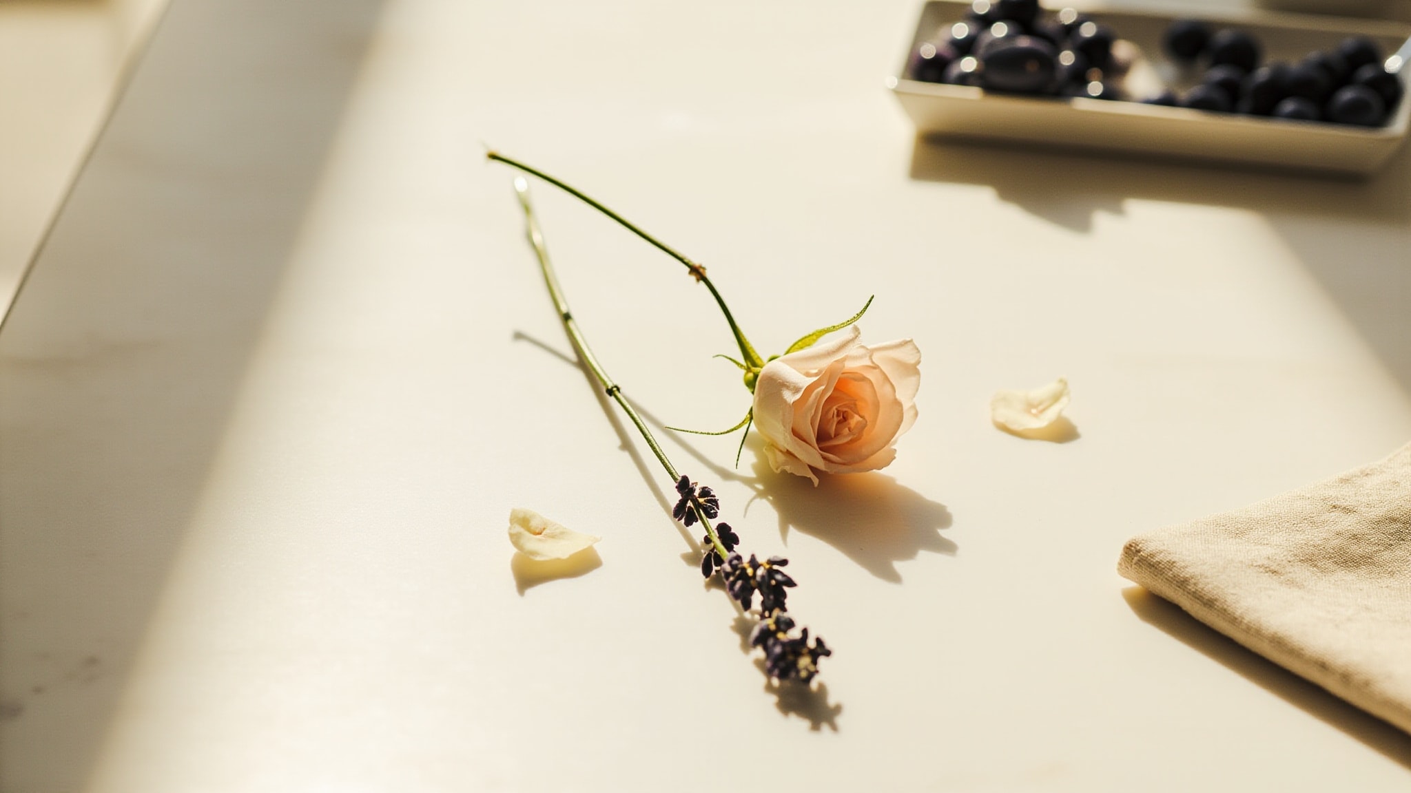Lavender Rose Oil by Tulip. Atmospheric mood