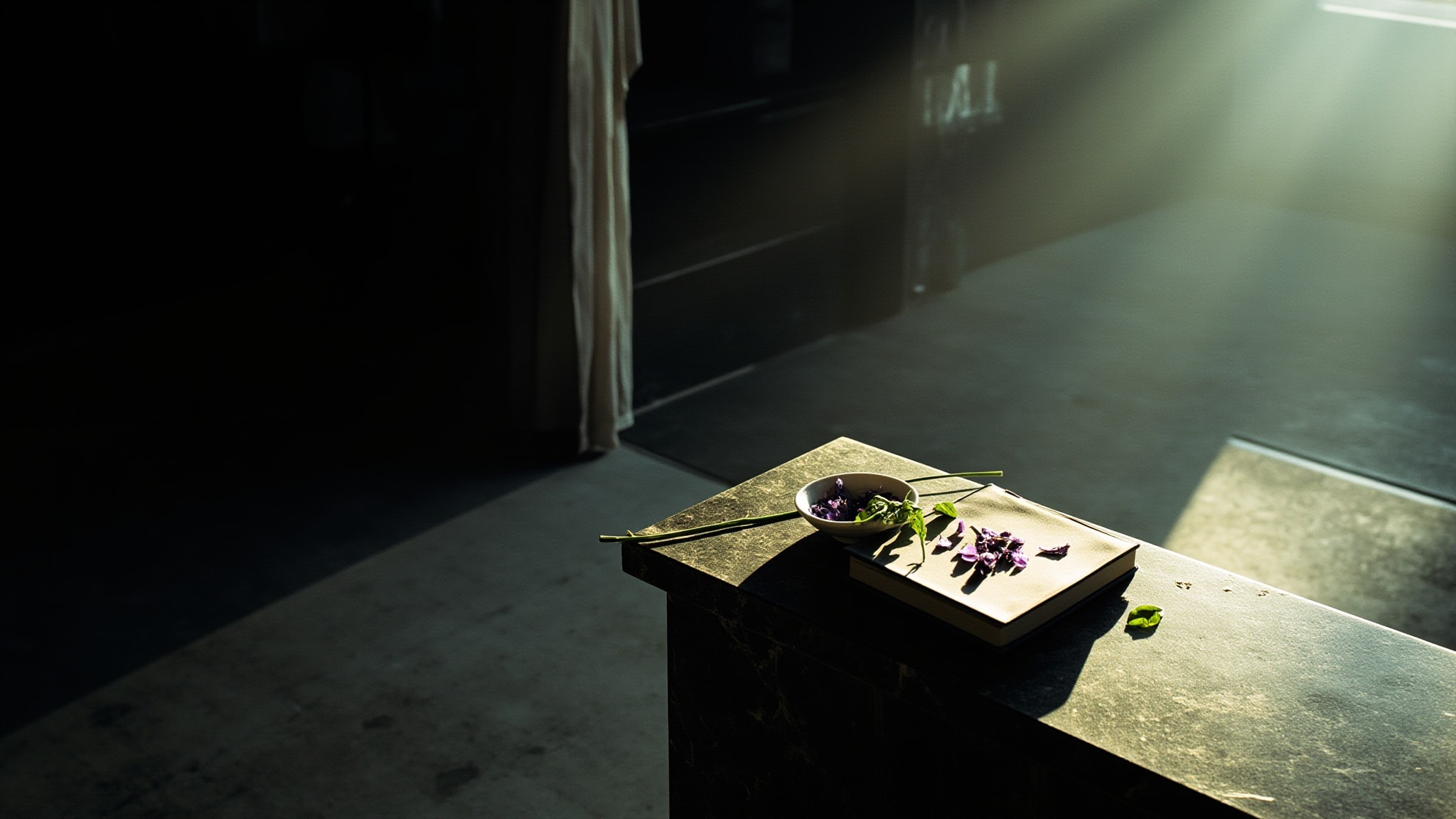 Death Of A Ladies Man by Universal Flowering. Atmospheric mood