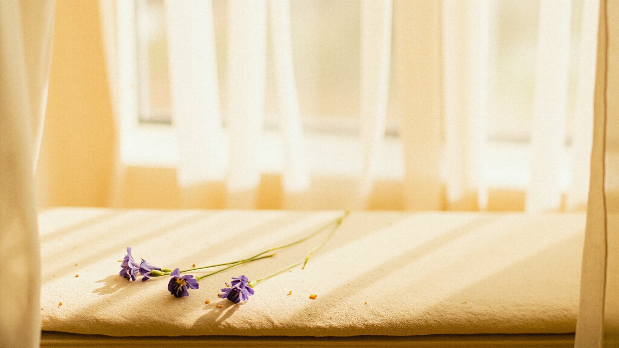 Embrace - Periwinkle and Iris by Vera Wang. Atmospheric mood