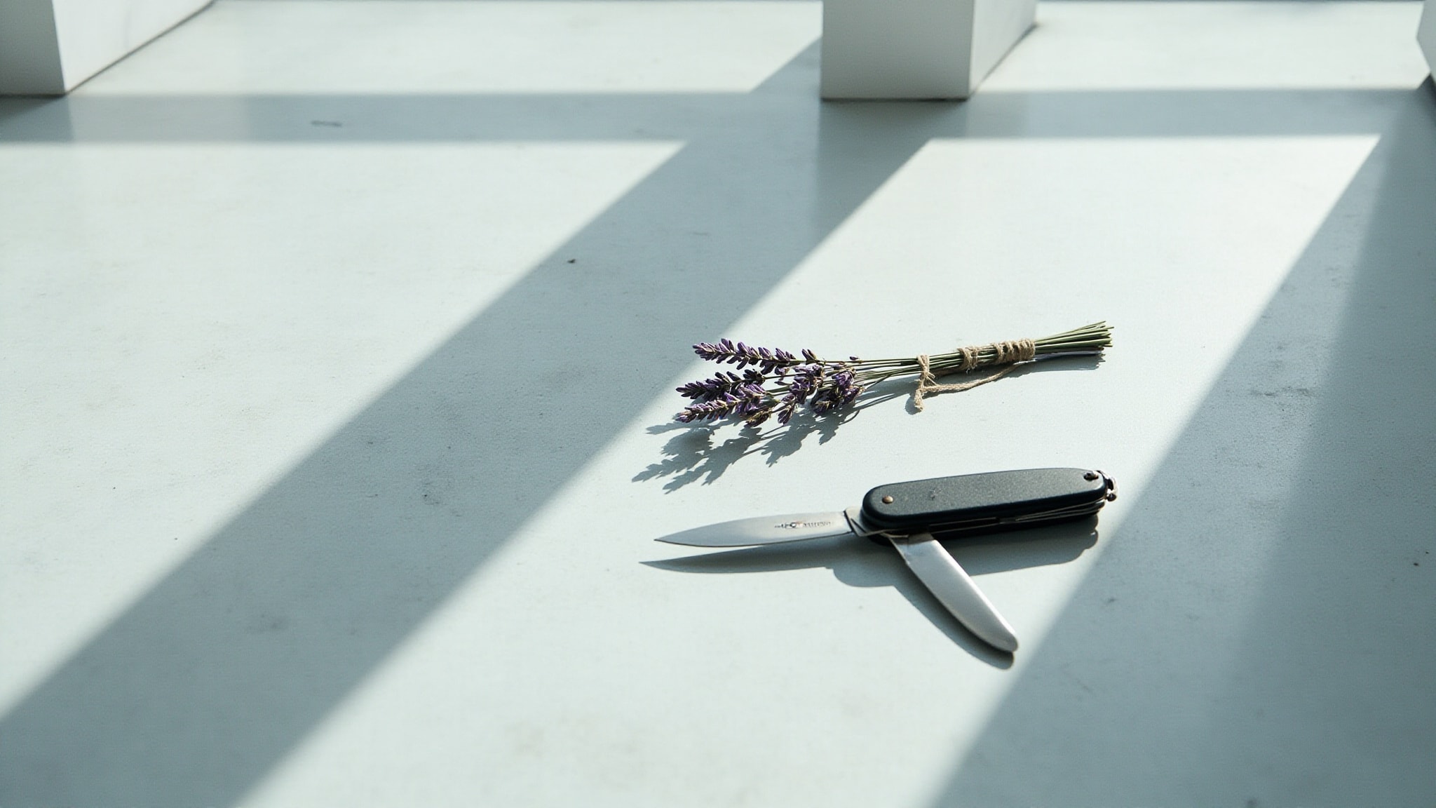 Steel by Victorinox. Atmospheric mood