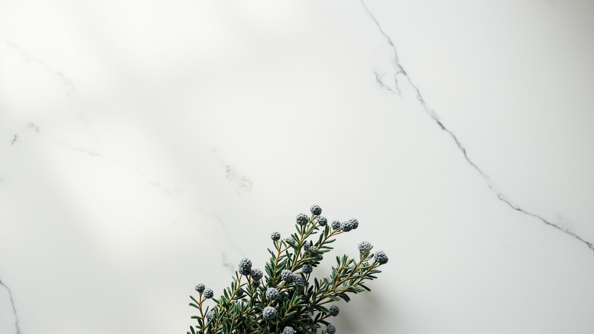 N° 10 Libertad Extrema by Victorio & Lucchino. Atmospheric mood