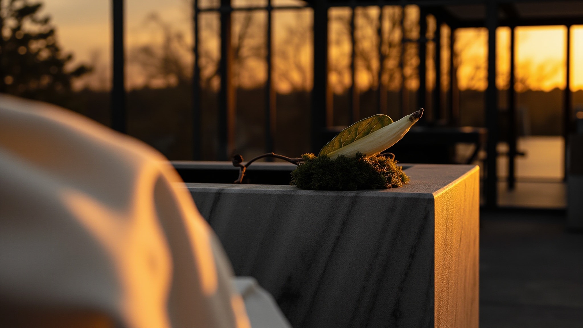 Linden & Dark Moss by Voluspa. Atmospheric mood
