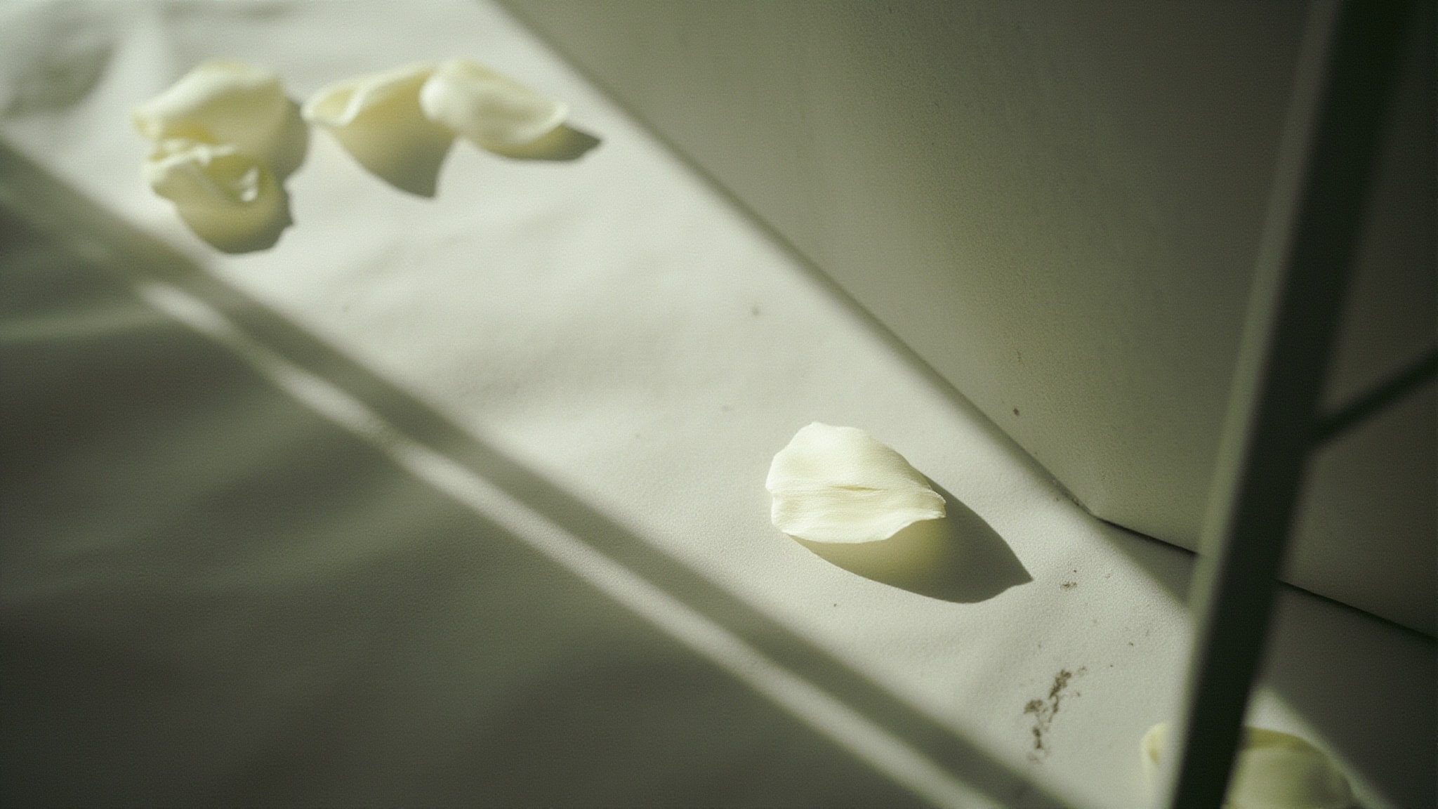 Almost White by yDe. Atmospheric mood