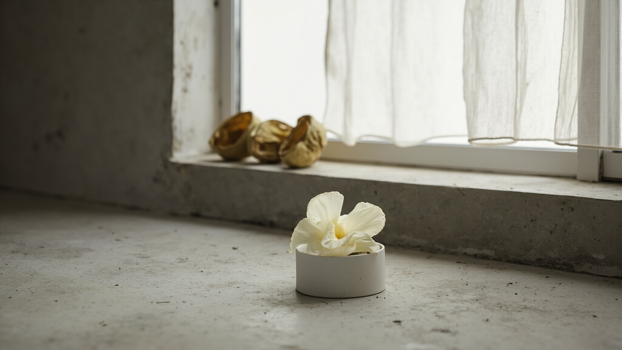Nowness by Yohji Yamamoto. Atmospheric mood