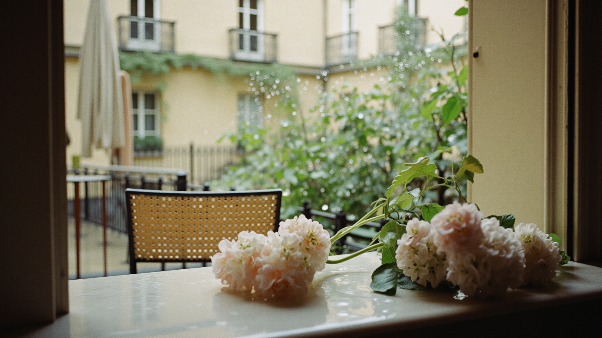 Paris Jardins Romantiques by Yves Saint Laurent. Atmospheric mood