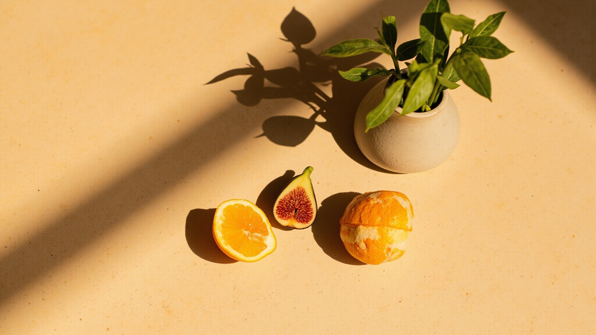 Balade De Figuer by Zara. Atmospheric mood