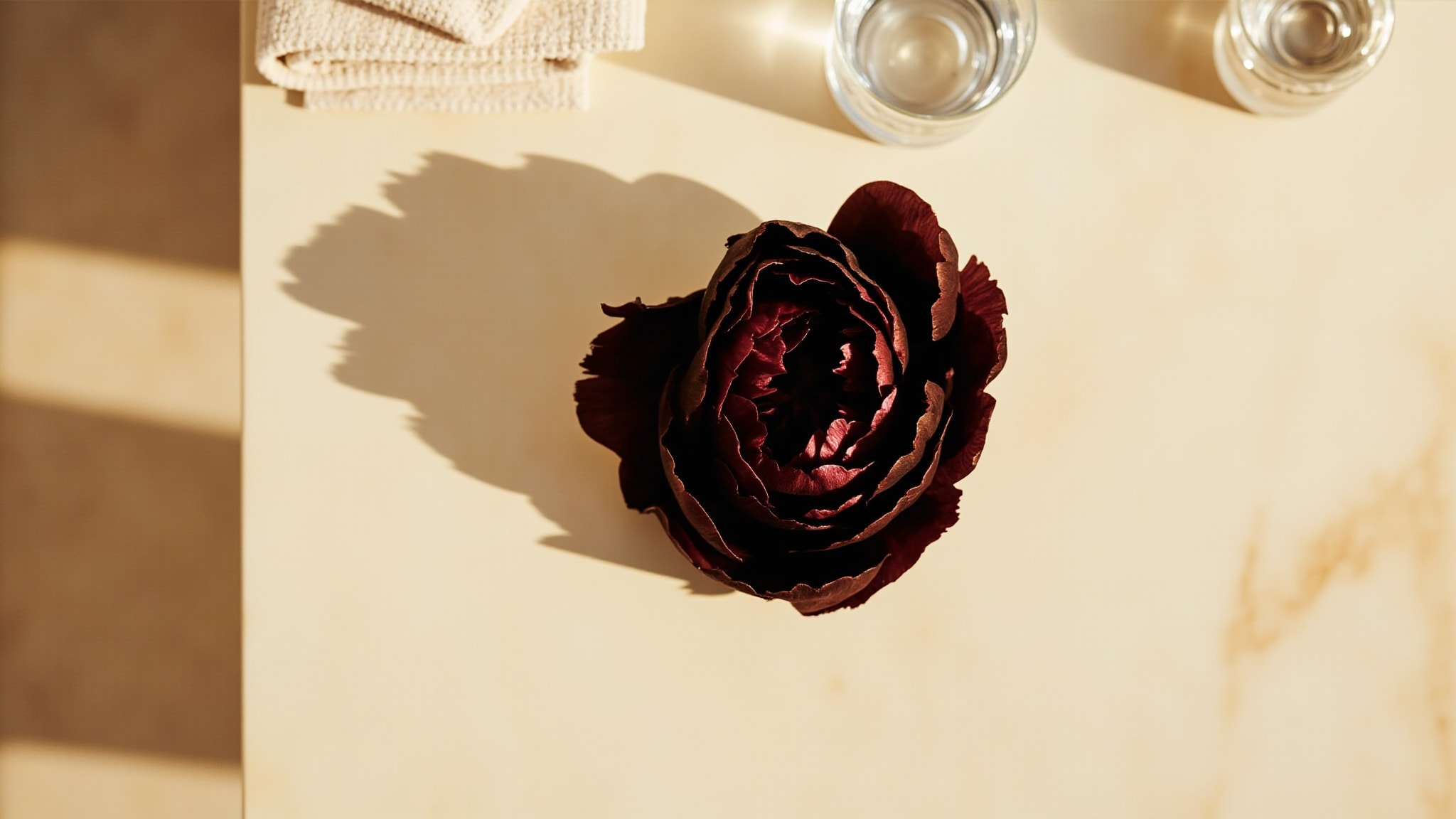 Black Peony by Zara. Atmospheric mood