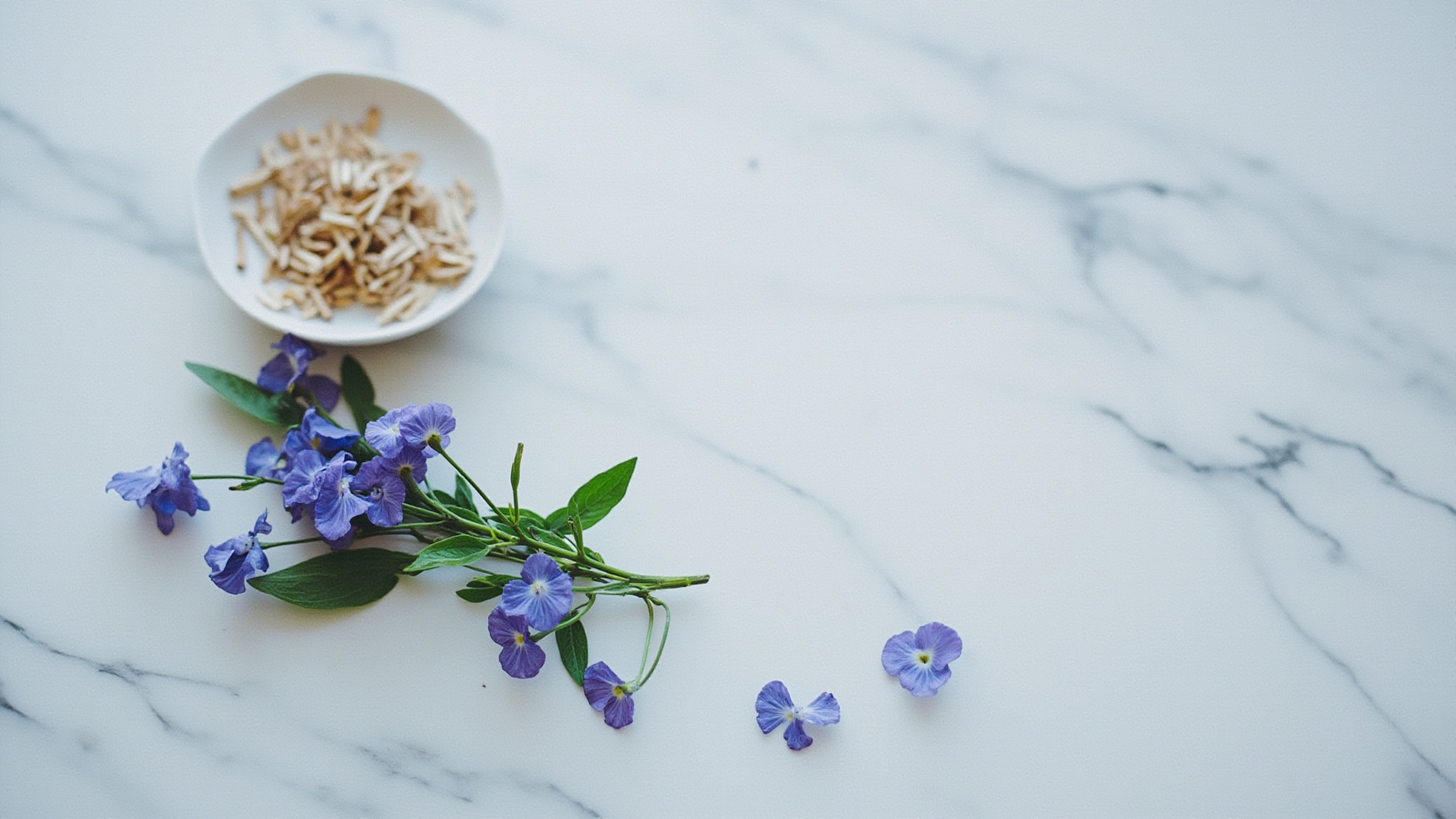 Brulante Violette by Zara. Atmospheric mood