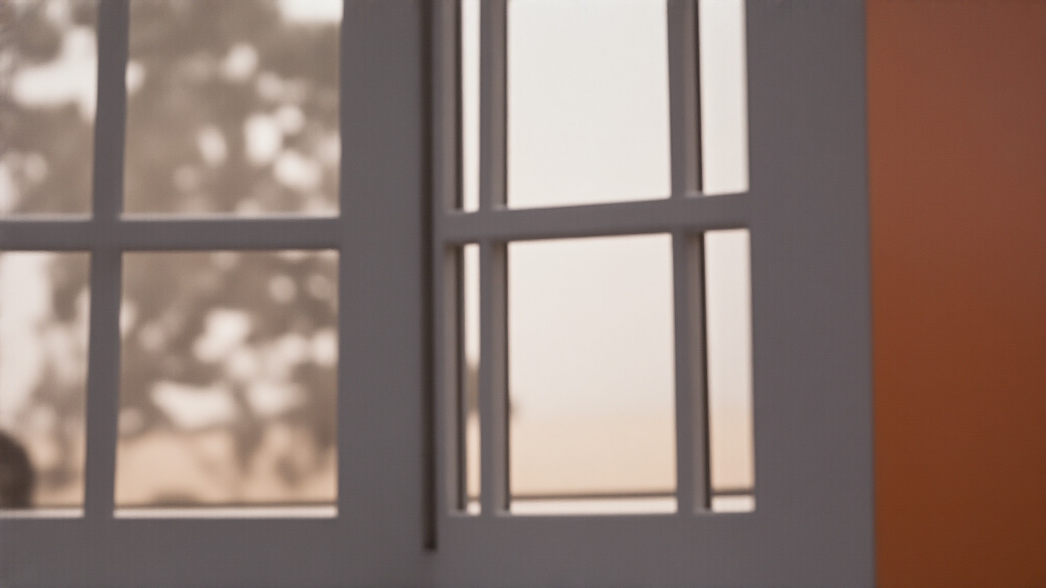 Captivating Vanilla by Zara. Atmospheric mood
