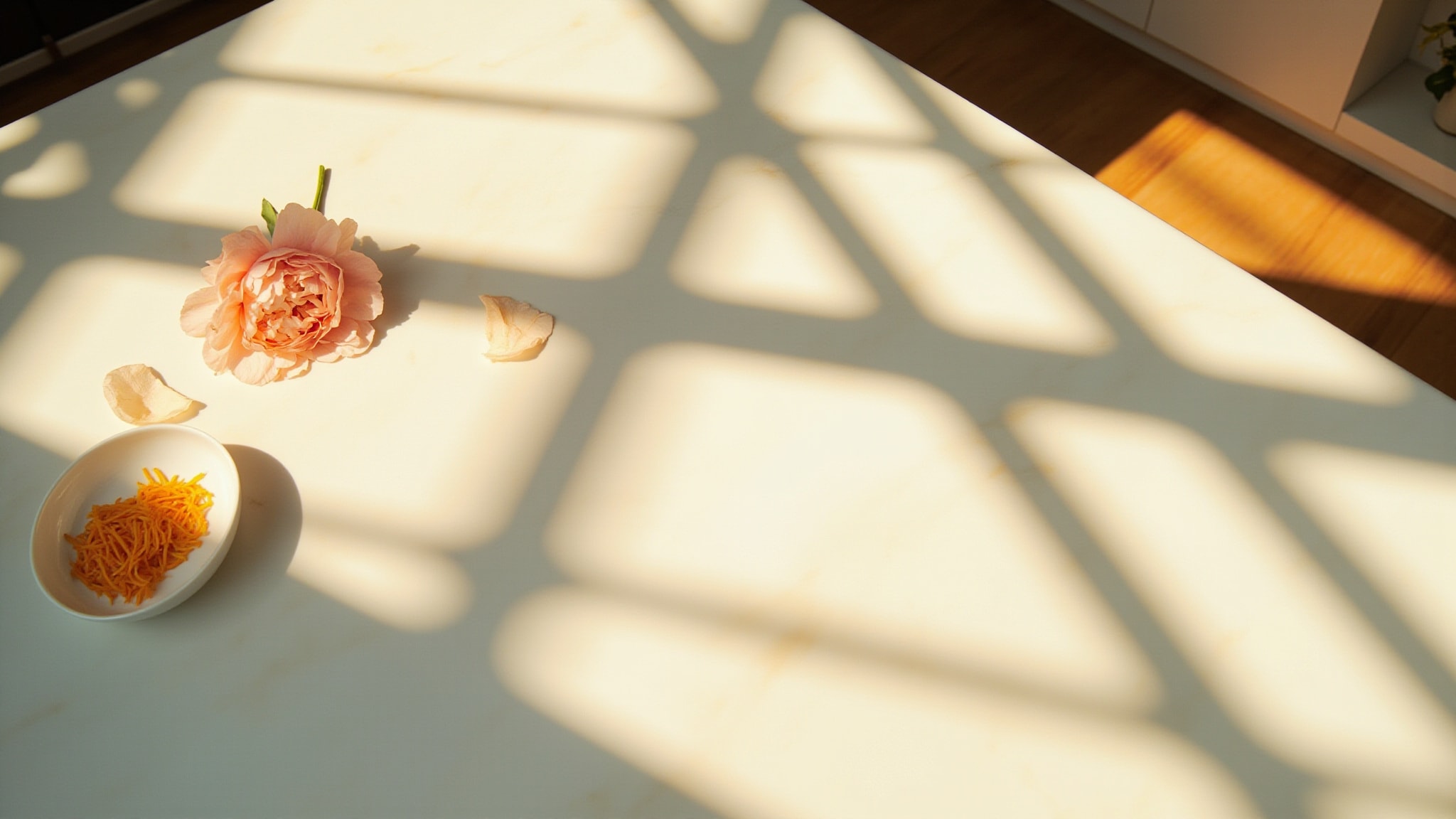 I Love Petals by Zara. Atmospheric mood